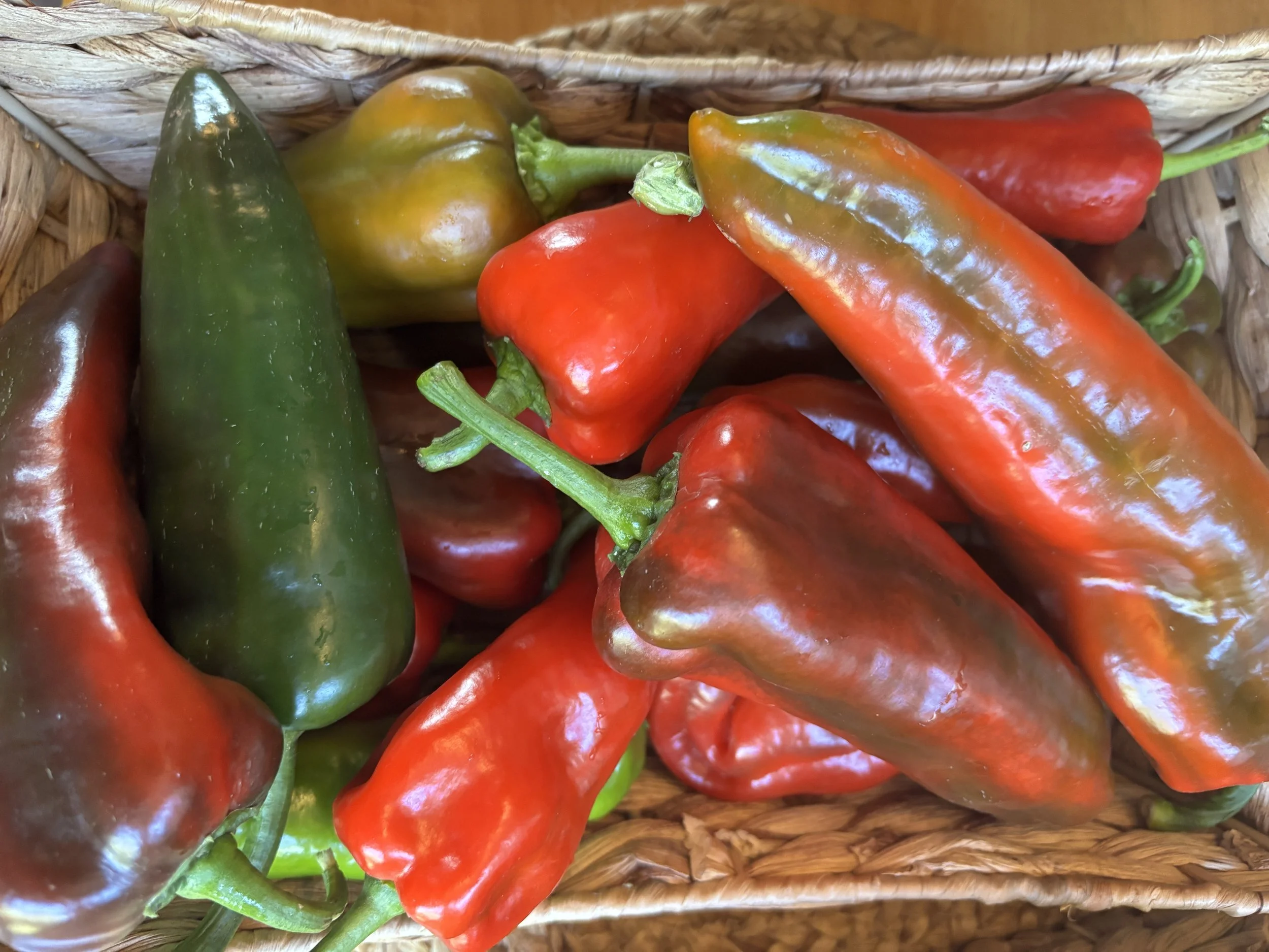 Sweet Italian Roasting Pepper