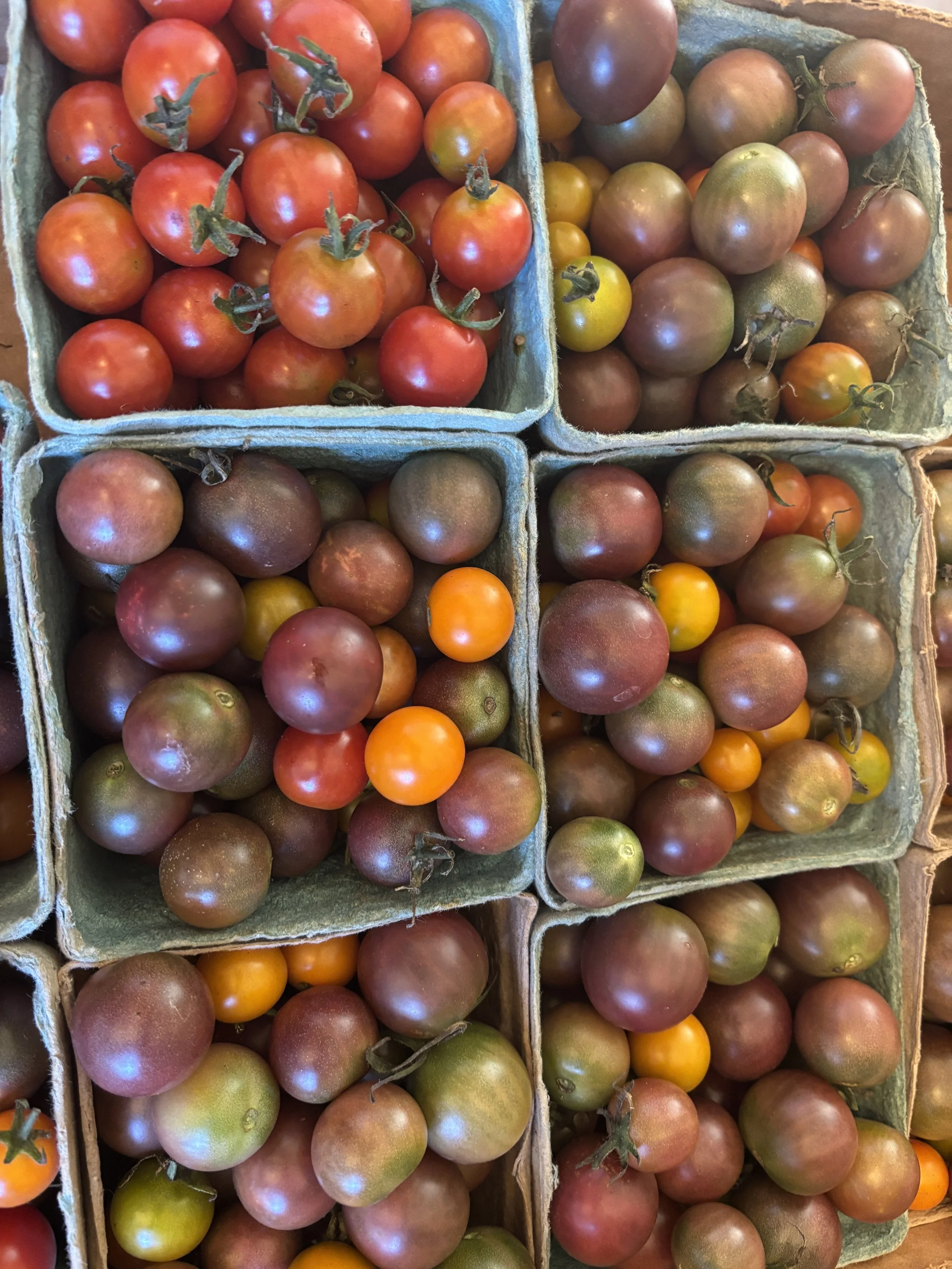 Cherry Tomatoes