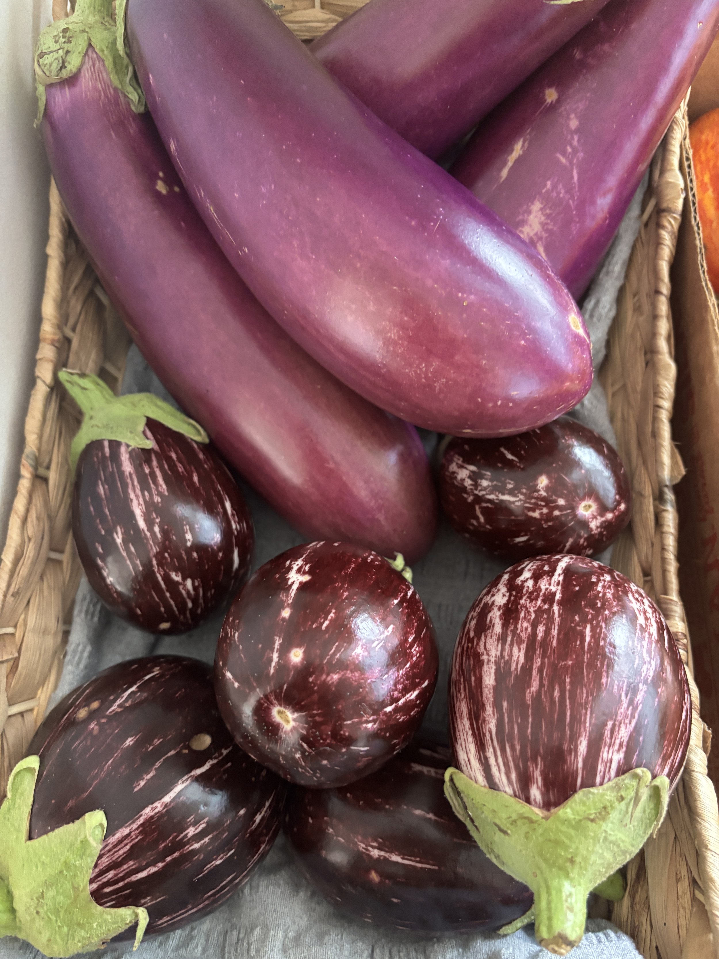 Eggplant