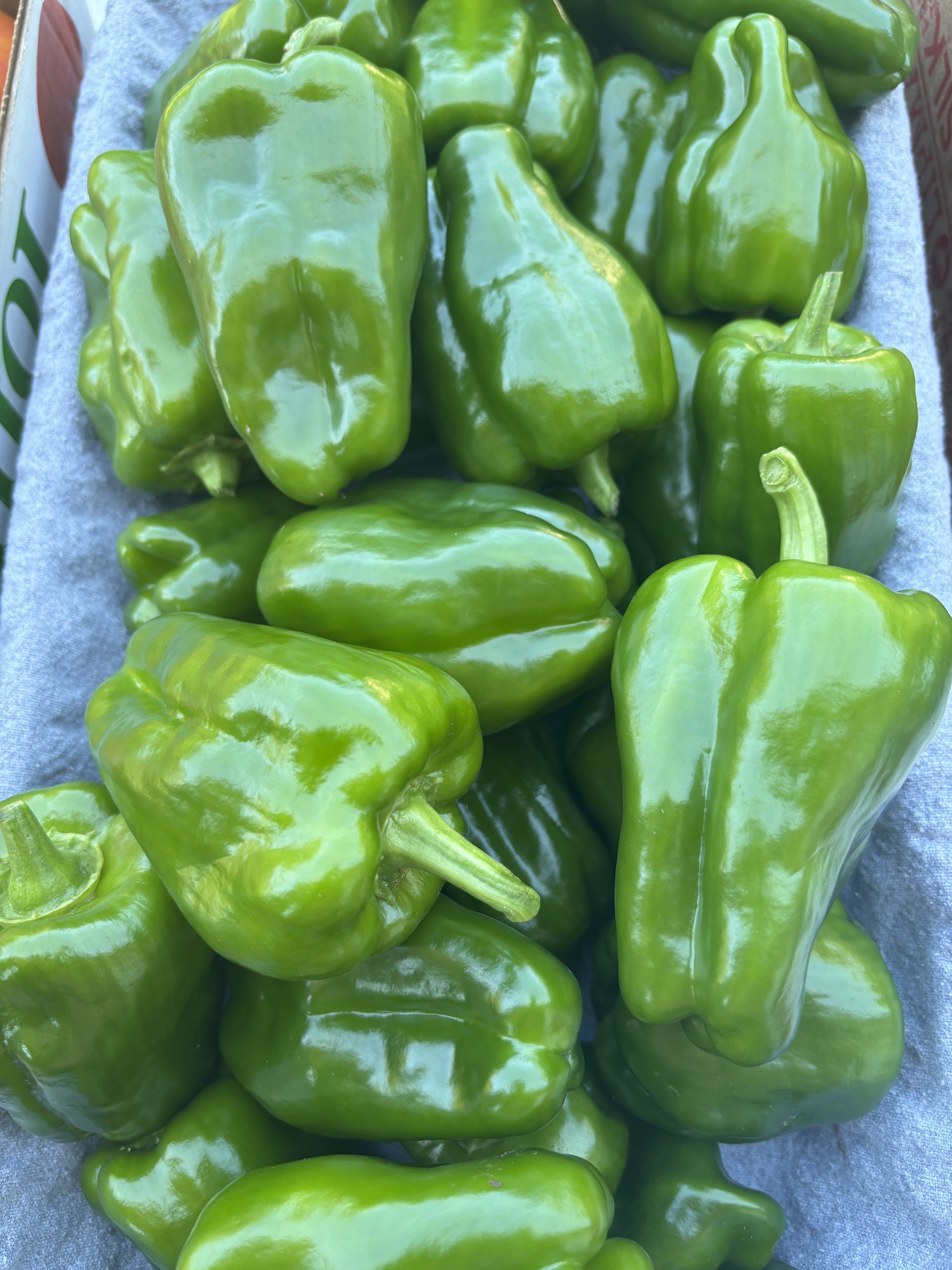 Bell Peppers