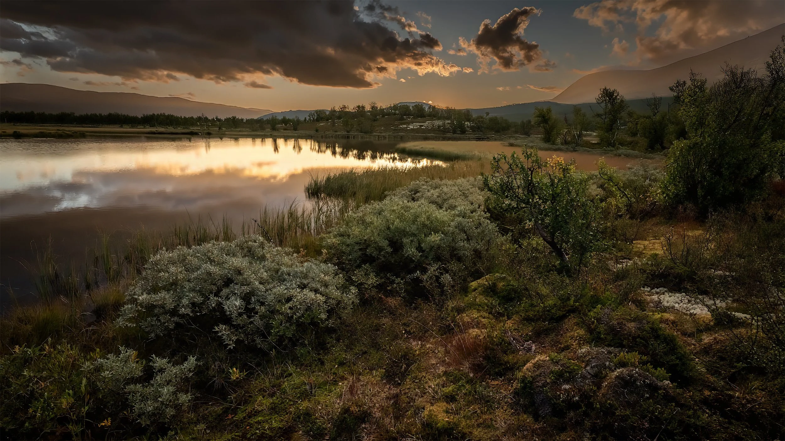 Wetlands