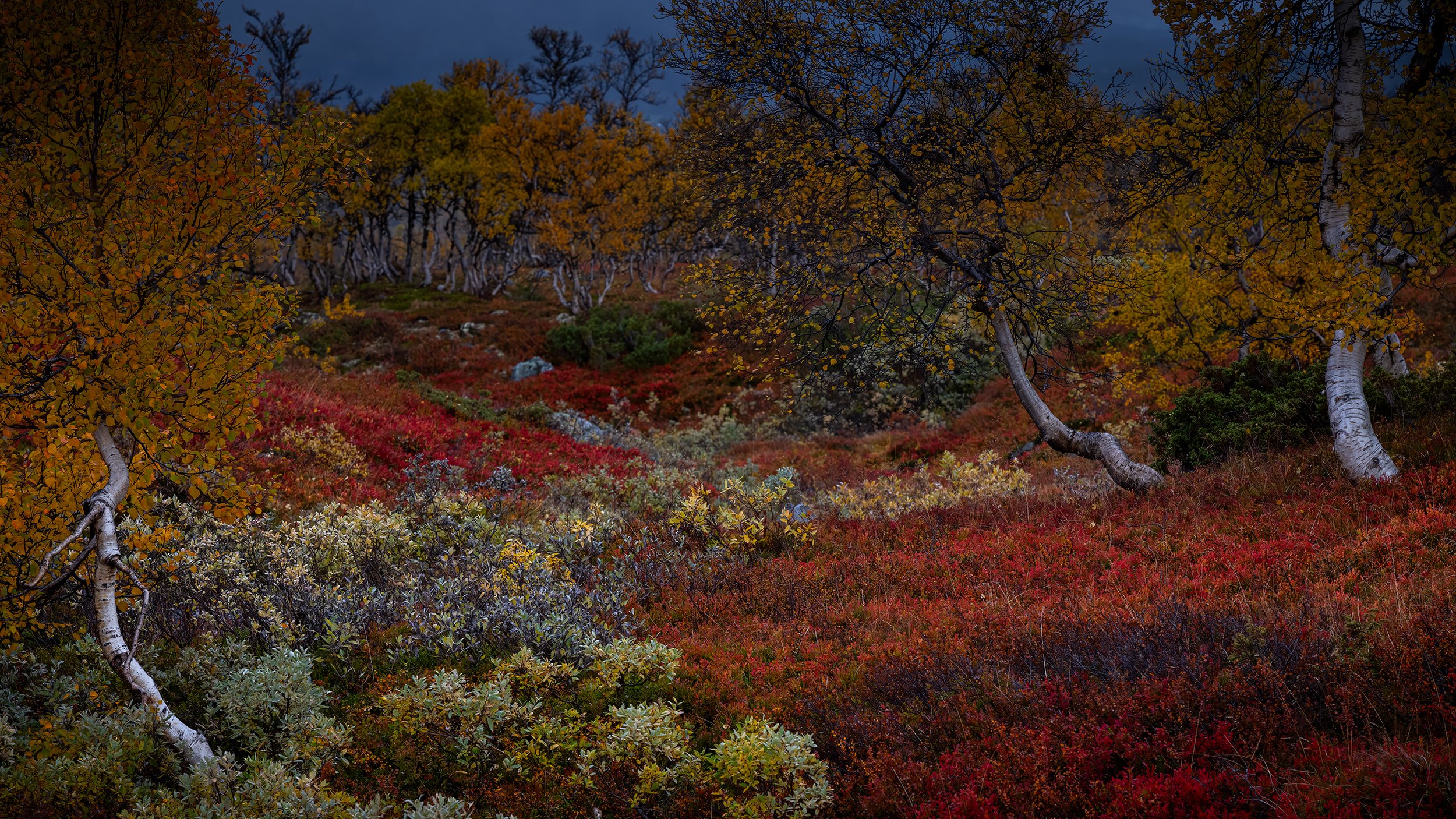 Amotsdalen