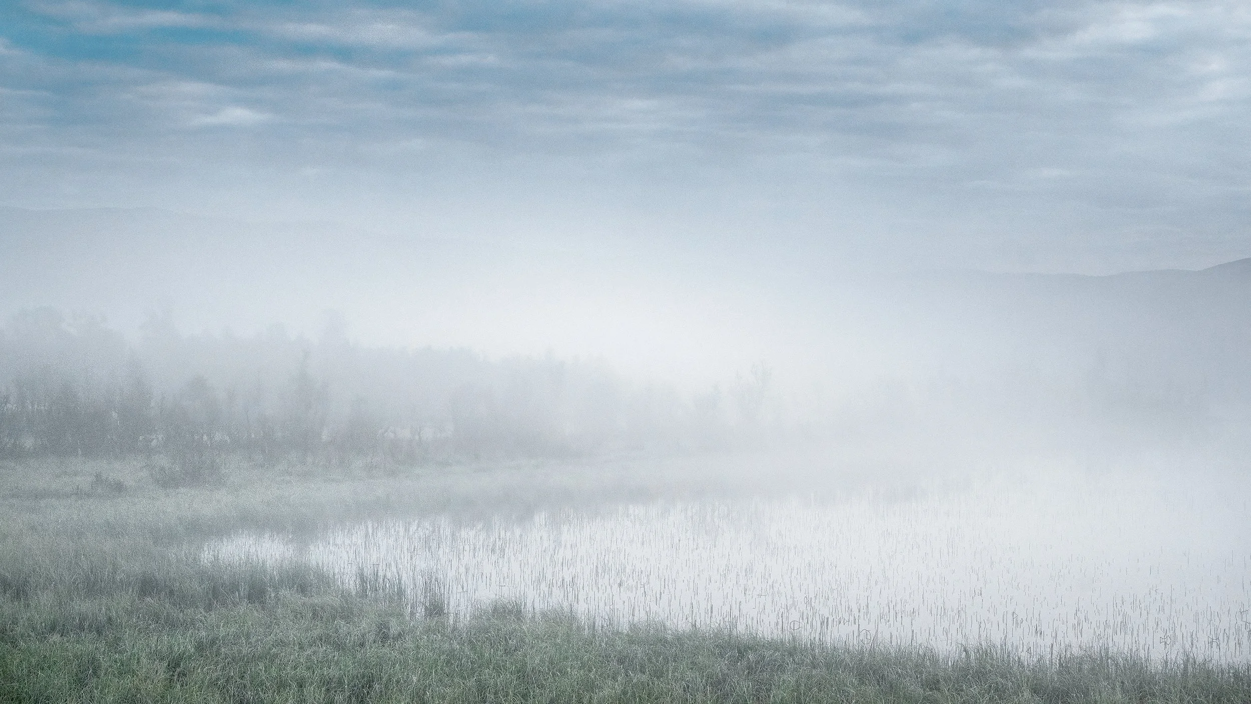 Wetlands