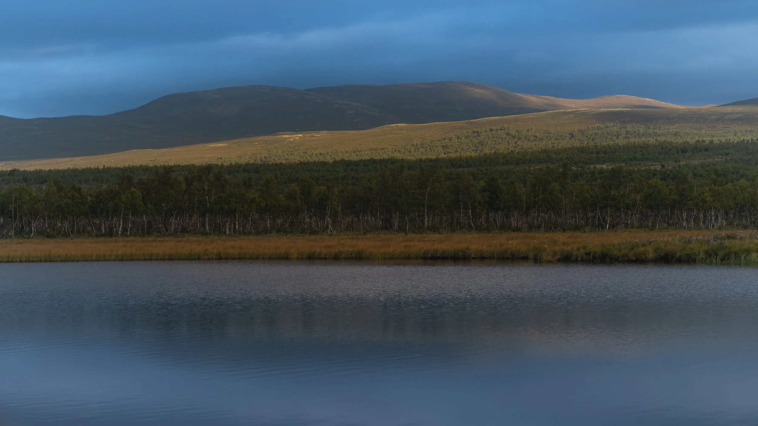 Wetlands