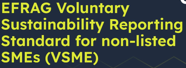 Utensil Centro and Wirutex among the first companies in Italy to prepare a VSME sustainability report