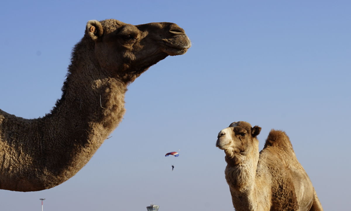 Morocco 2025 Part Two