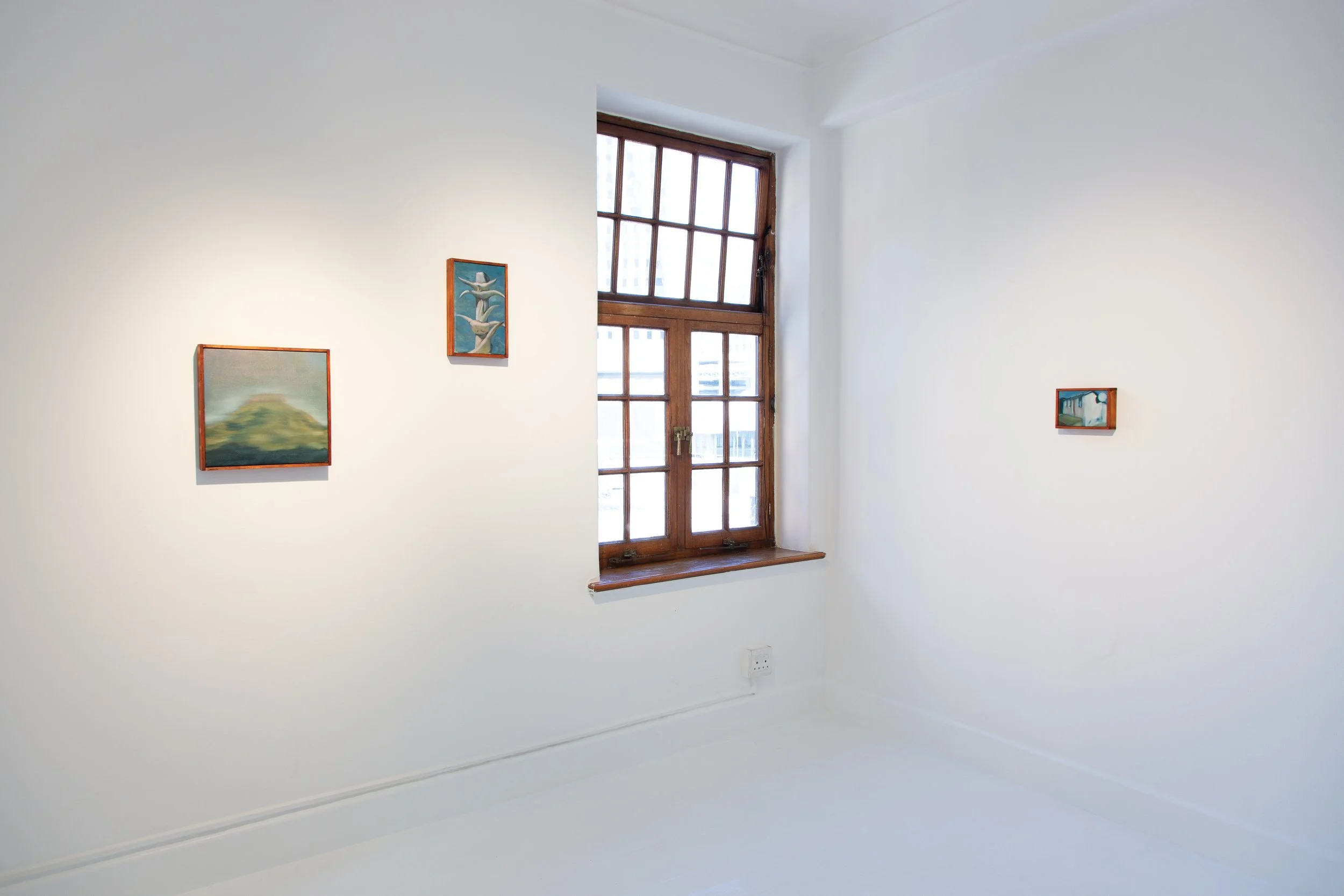 Installation photography of Spes Bona by Kamva Matuis, for Lemkus Gallery (2025)