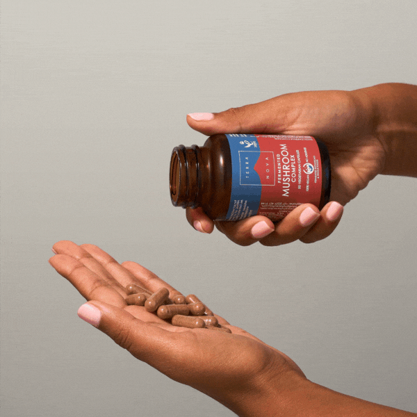 5.Terranova_Fermented-Mushrooms_GIFs.gif