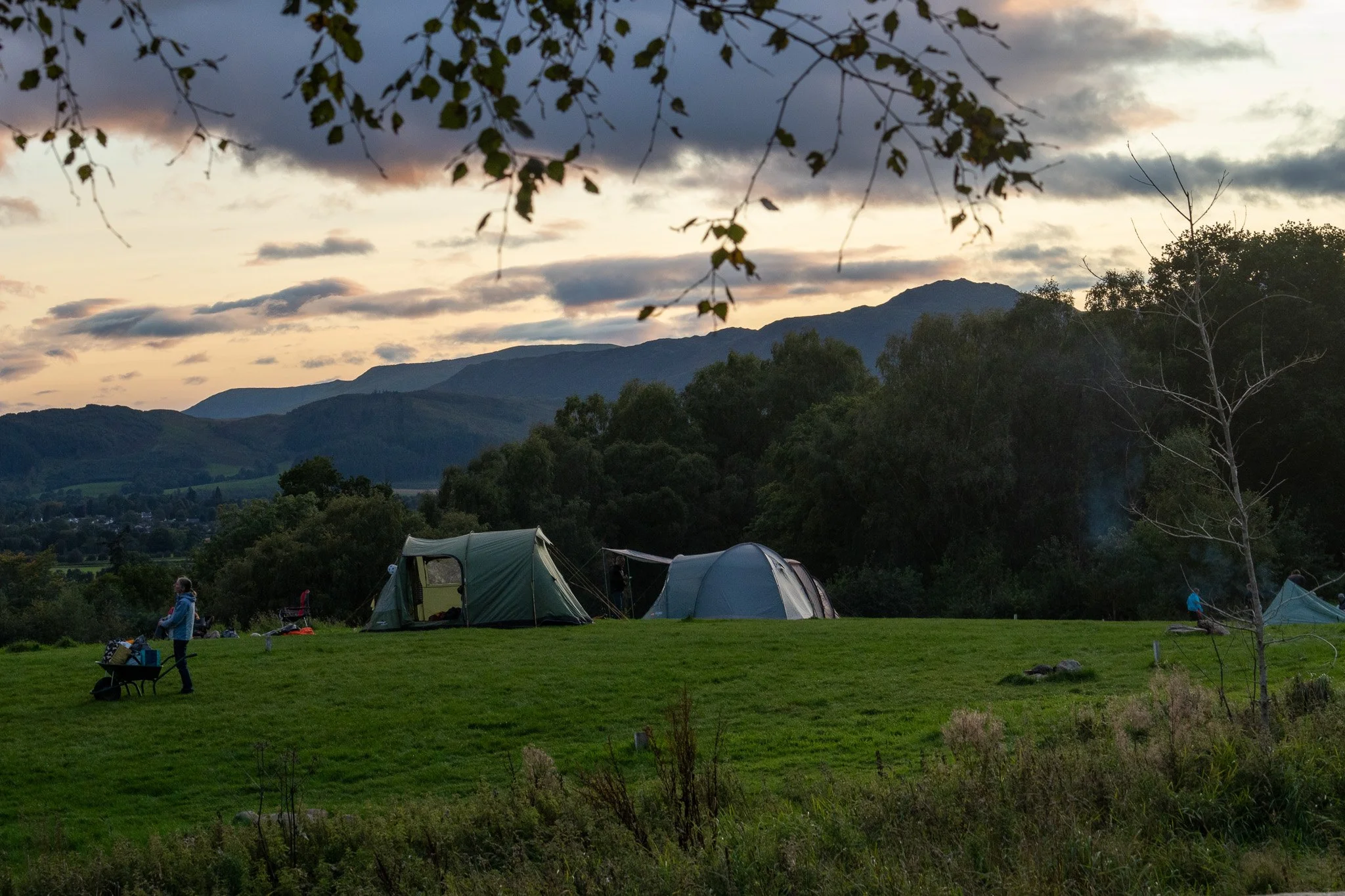 High Meadow Camera 22 Sept Comrie Croft -18.jpg