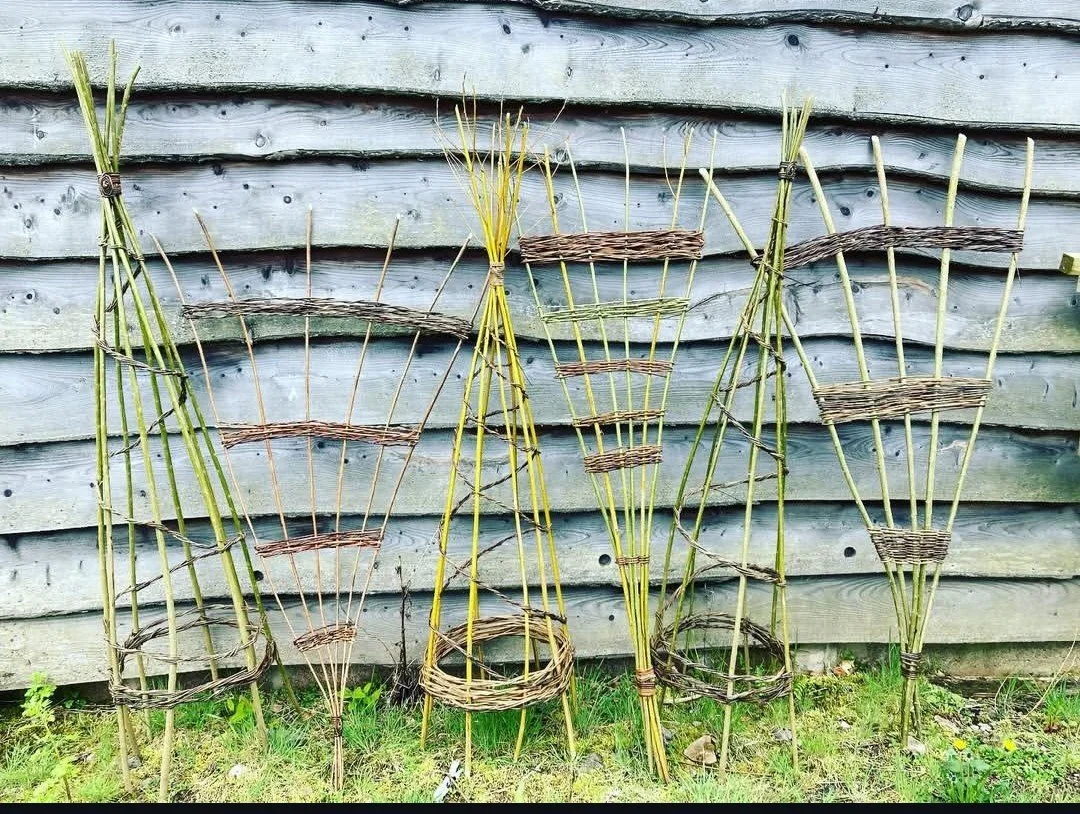 Weave a Willow Plant Support