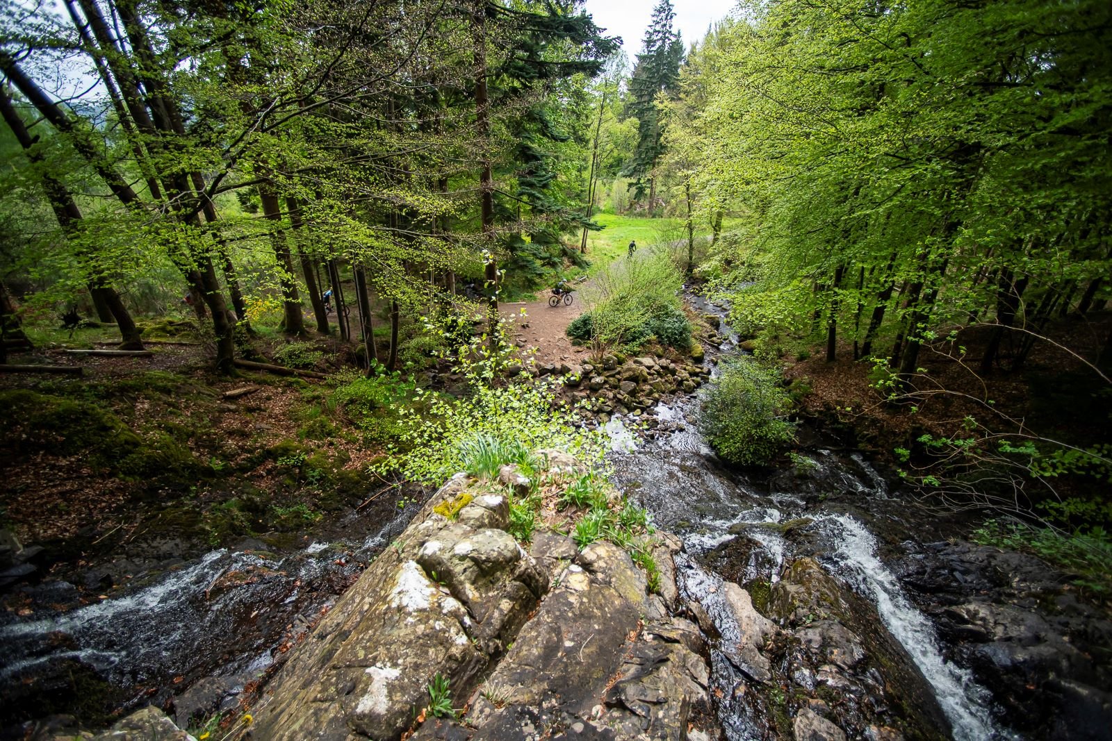 Comrie Croft Journeys-85.jpg