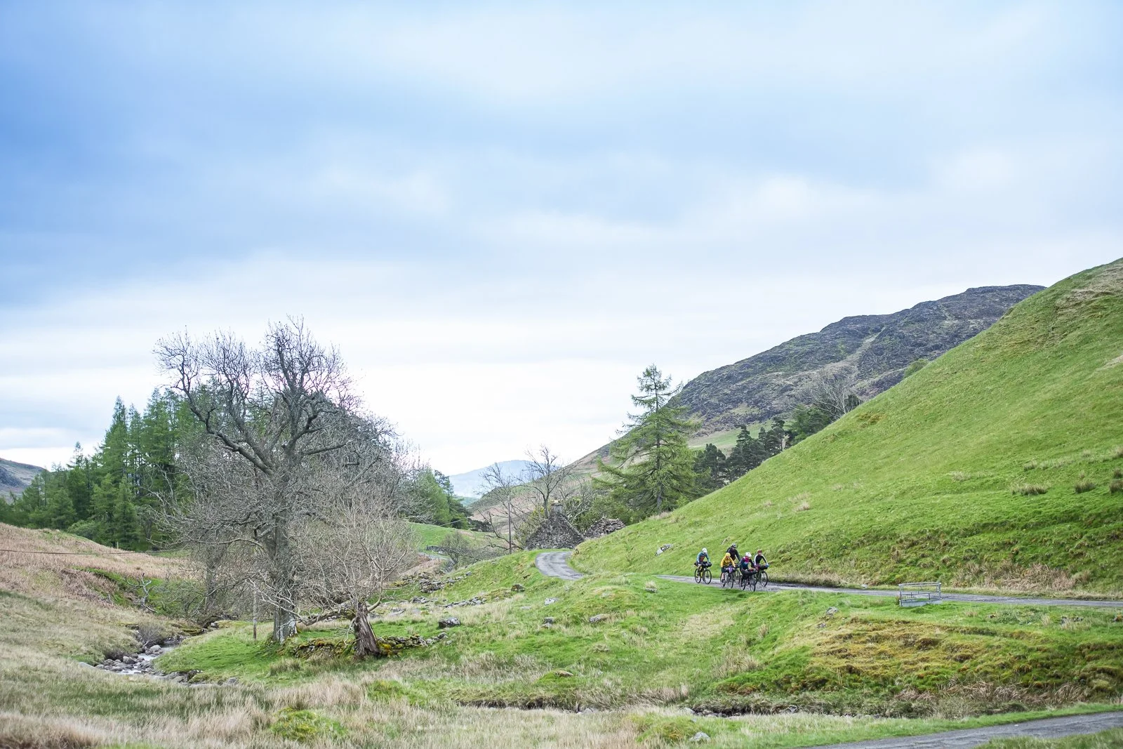 Comrie Croft Journeys-186.jpg