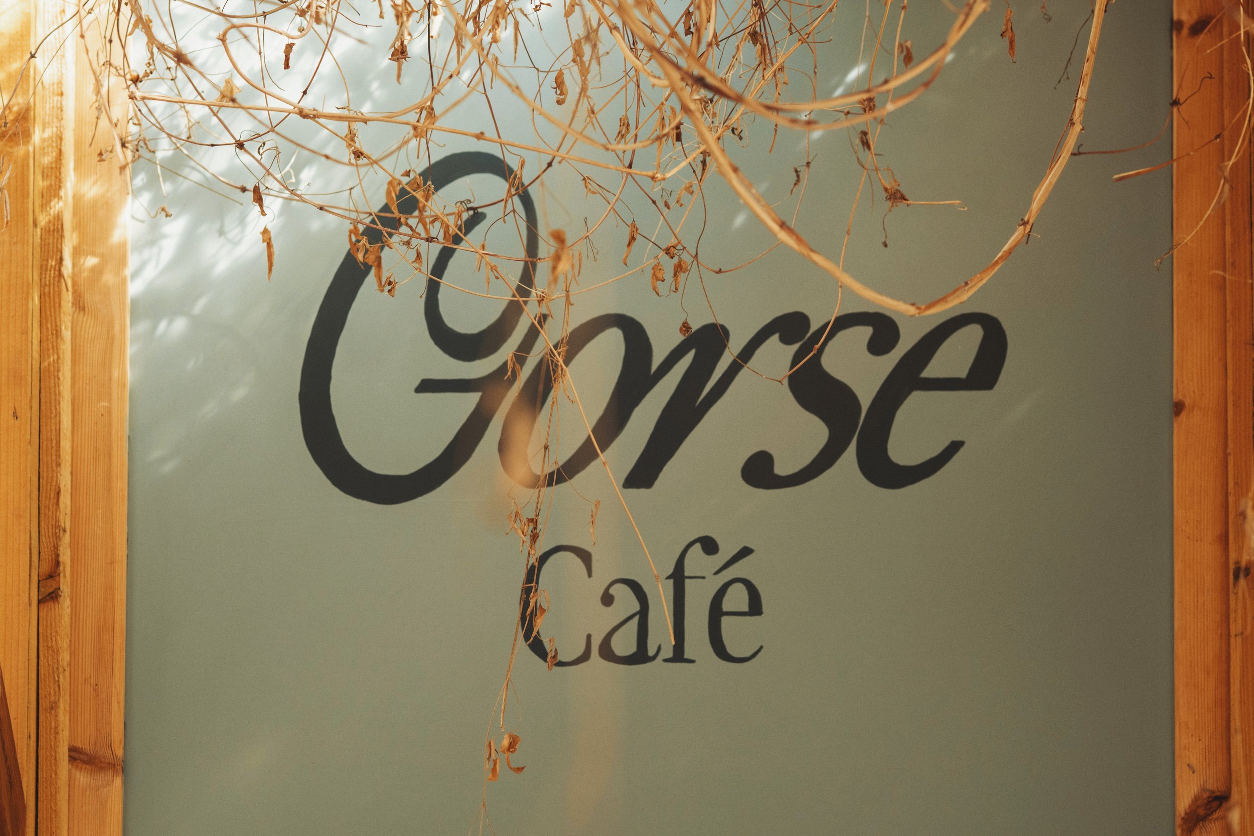 Gorse-29-VSCO.jpeg