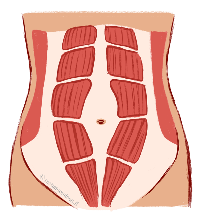 vatsalihasten-erkauma-rectus-diastaasi-reetta-tuominen