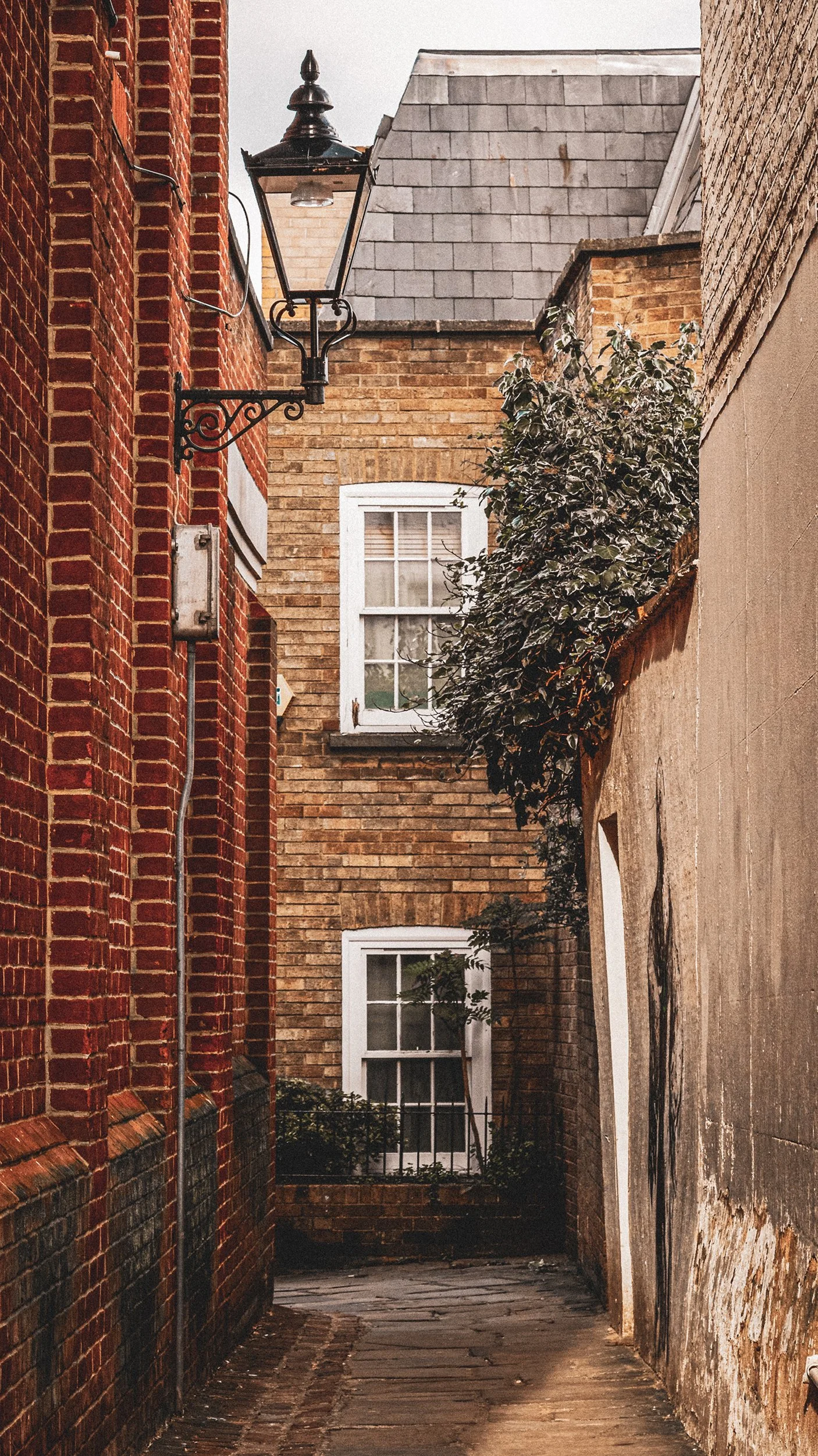 2X5A4495 3.jpg