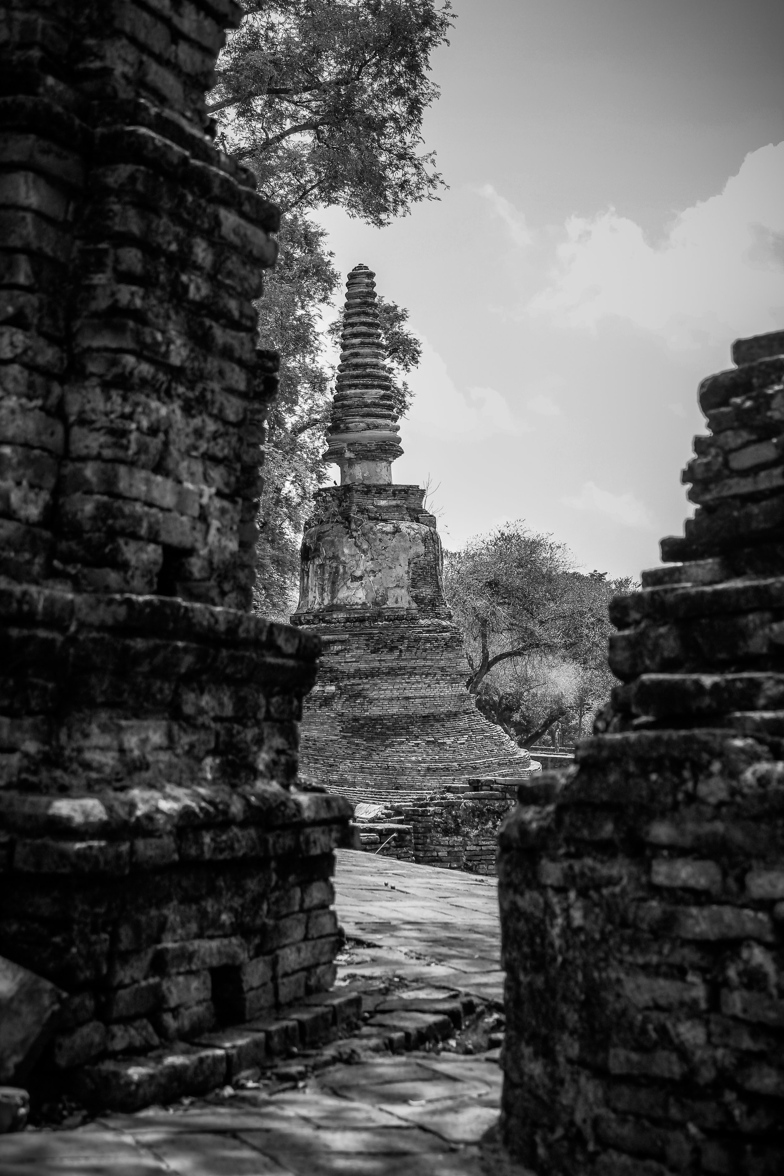_MG_9554 2.JPG