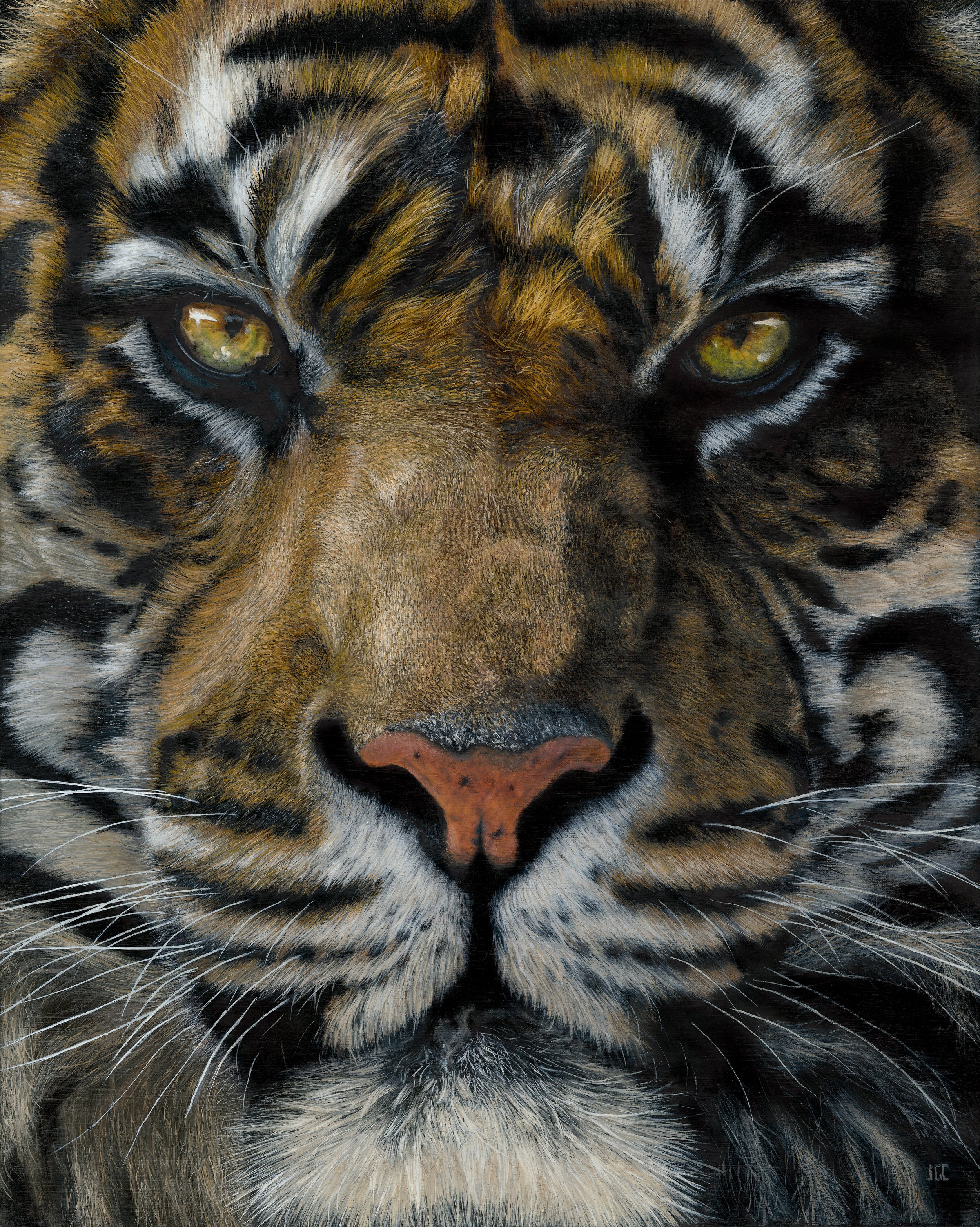 Tiger (Adjusted) Smaller.jpg