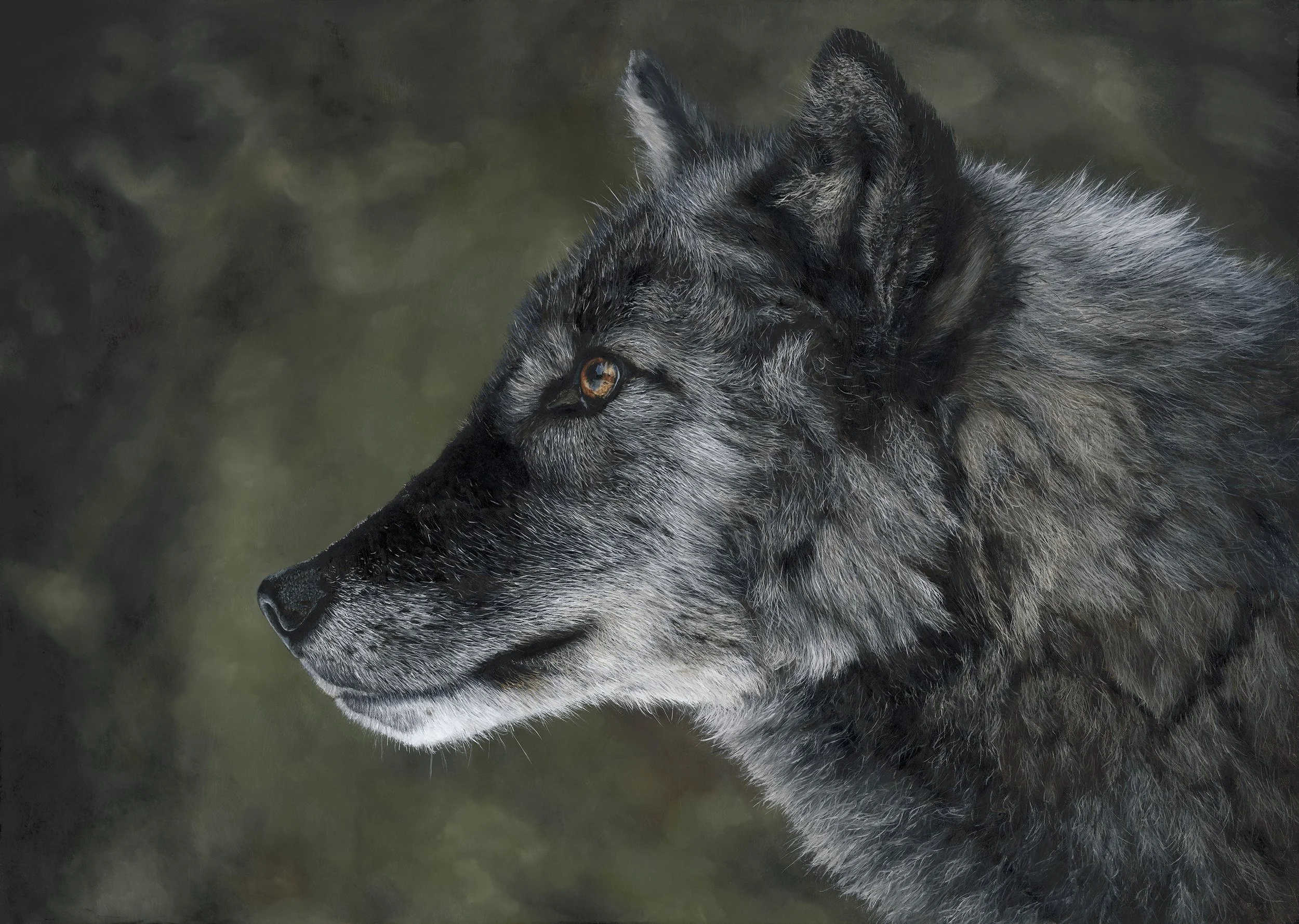 FOCUS, 2026, Oil on Linen,  50 x 70 cm