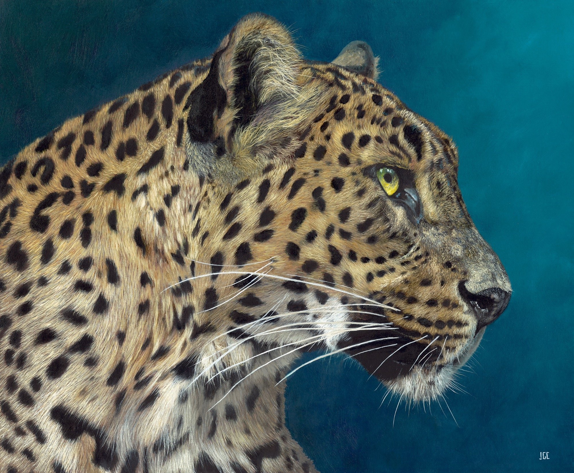 LEOPARD SMALLER.jpg