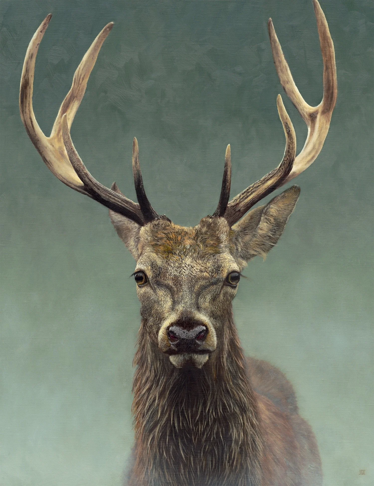 Red Deer