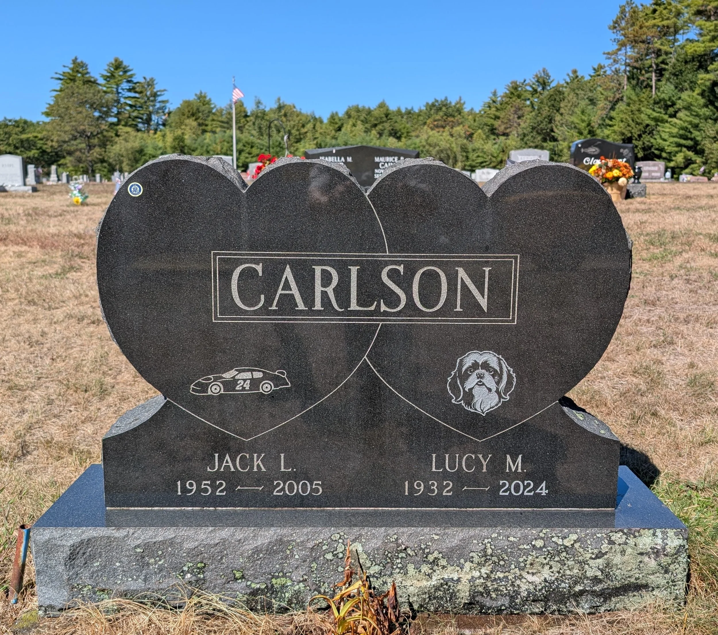 Dog Image: South Road Cemetery, Belmont, NH