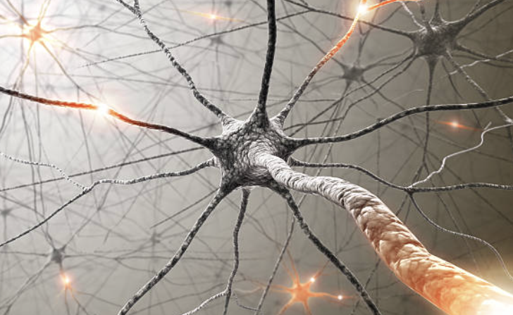 Screenshot 2024-03-13 at 10.23.13 AM.png