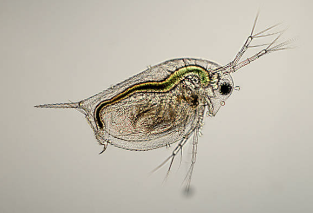 Screenshot 2024-03-13 at 10.24.48 AM.png