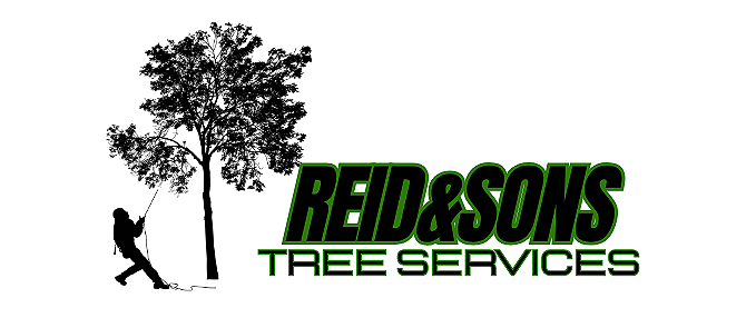 REID&amp;SONS TREE SERVICES
