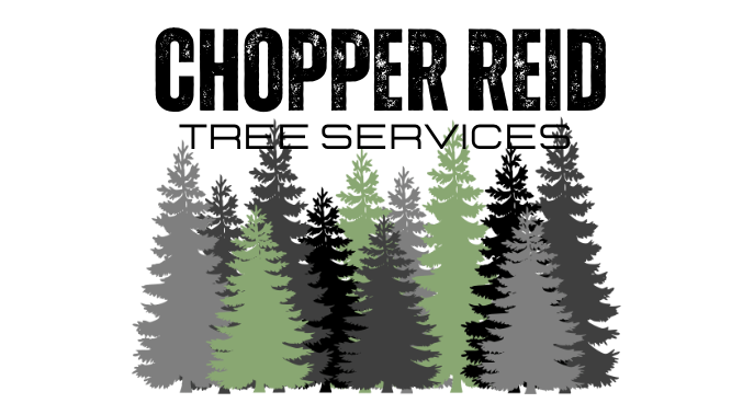 Chopper Reid Tree Services