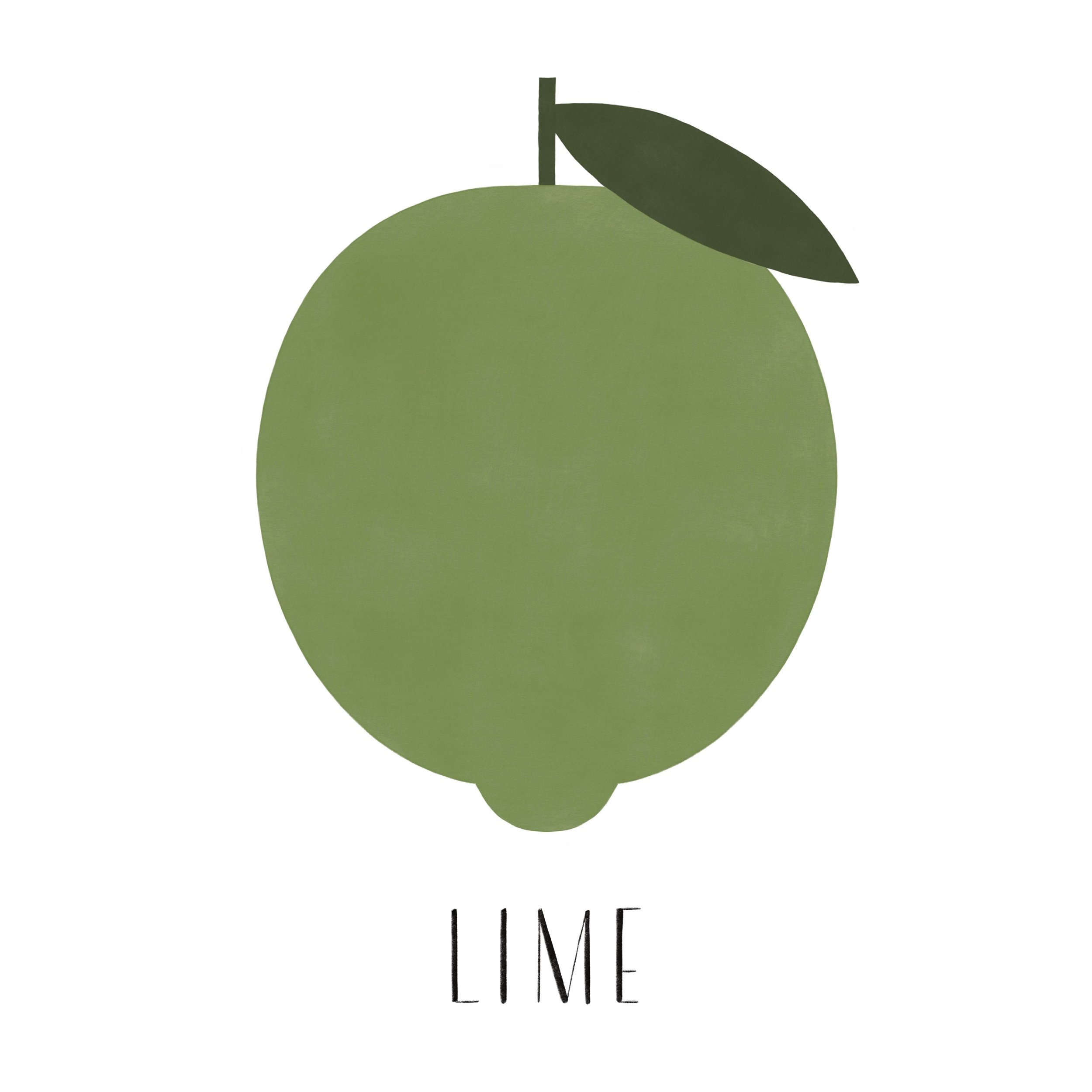 lime 🍋&zwj;🟩
.
This illustration of a lime is now available as a poster on JUNIQE. Link in bio!✨
.
.
.
#lime #foodillustration #juniqe #swissillustration #posterdesign