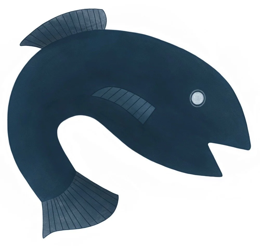20260421_fish_web.jpg