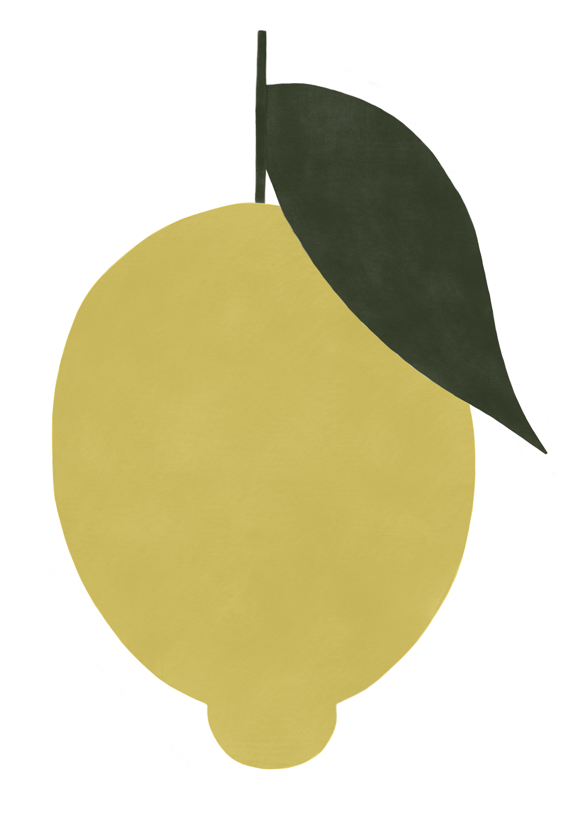 20260120_lemon.png
