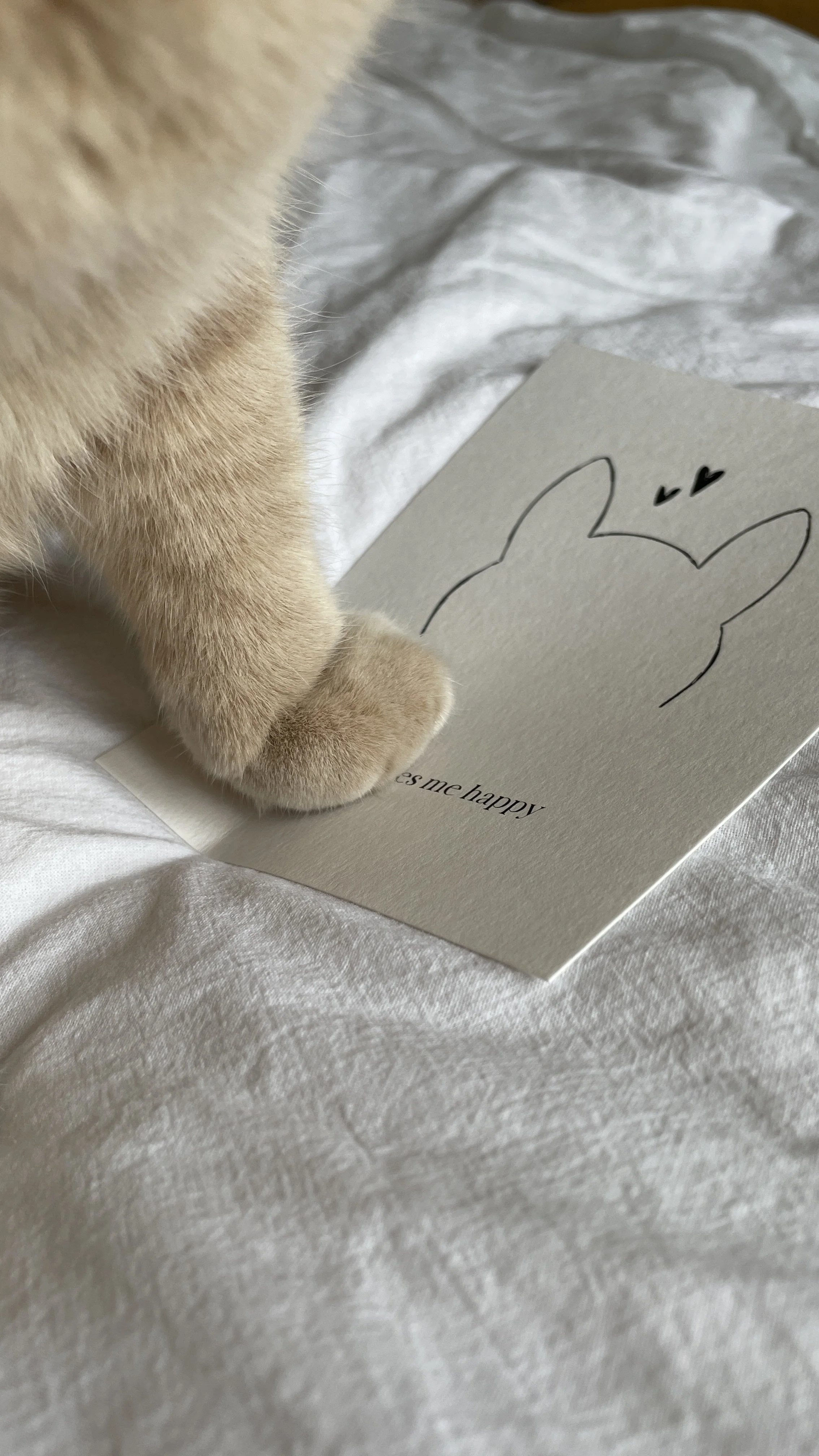 Eine Katze steht mit ihrer Pfote auf einer Postkarte der Kollektion Catlove.