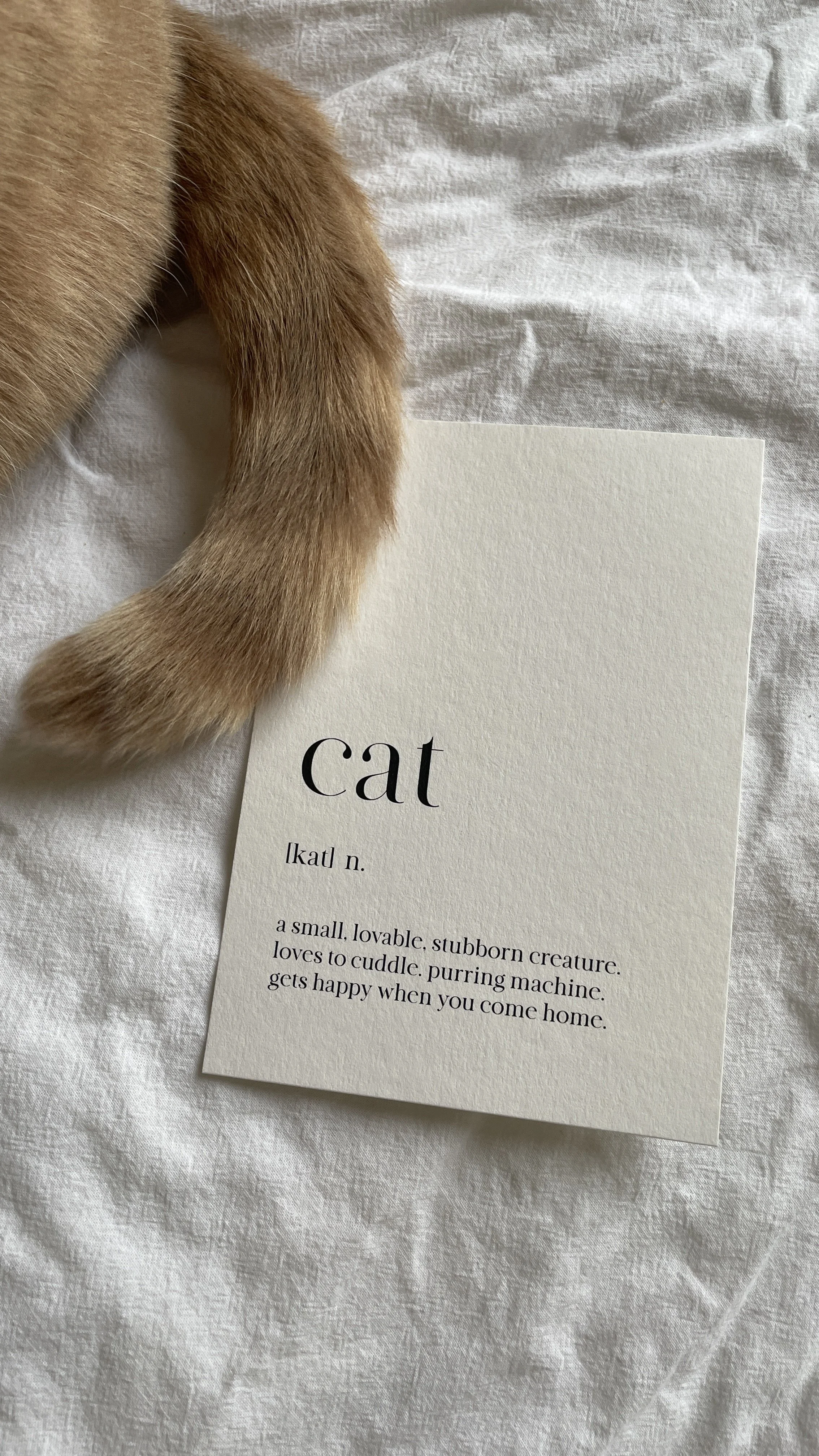 Ein Katzenschwanz neben einer Postkarte mit der Wortbeschreibung des Wortes "cat" auf Englisch.