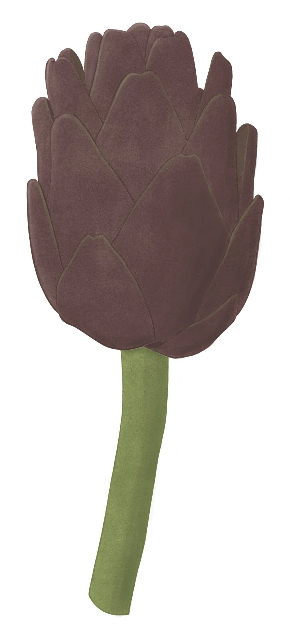 20260304_artichocke_v02_web.jpg