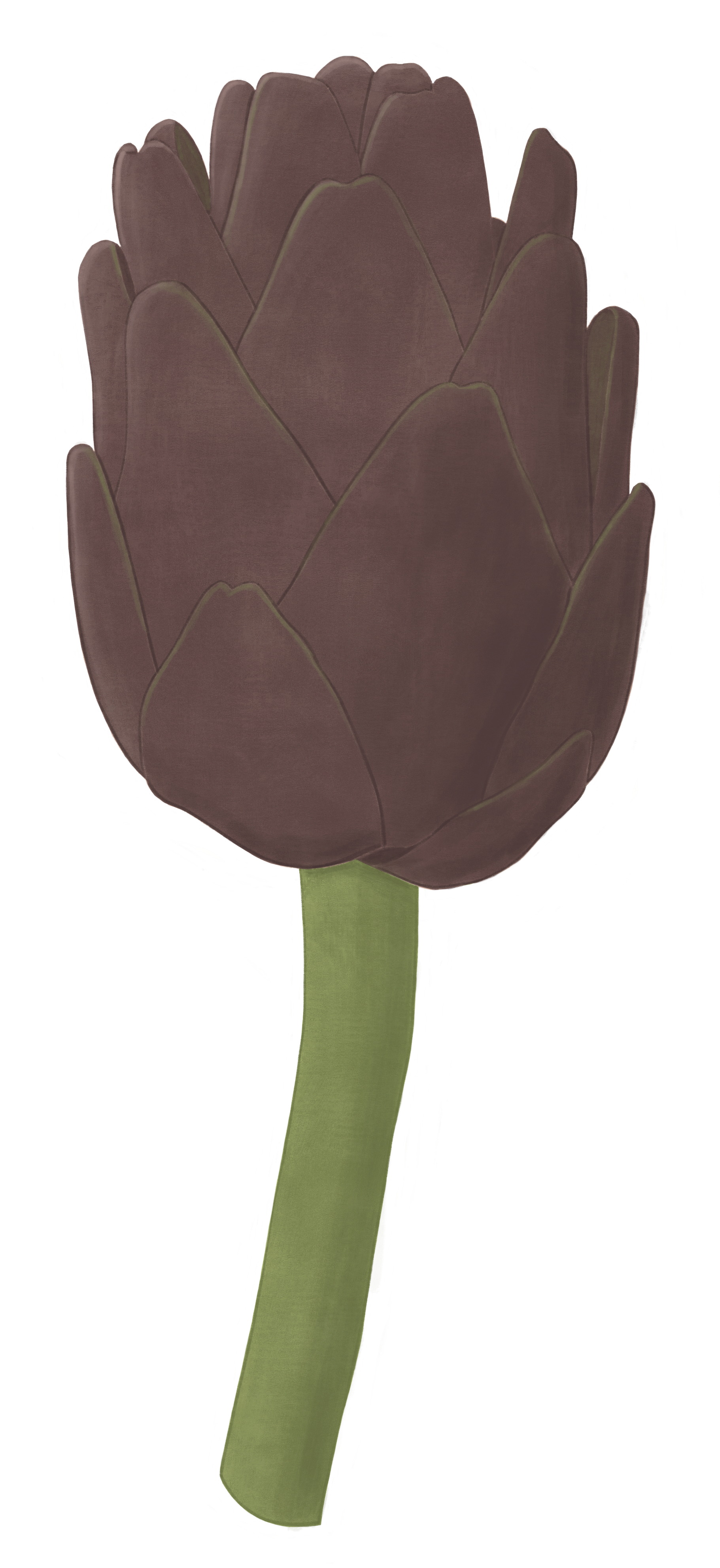 mediterranean cuisine
 
illustration