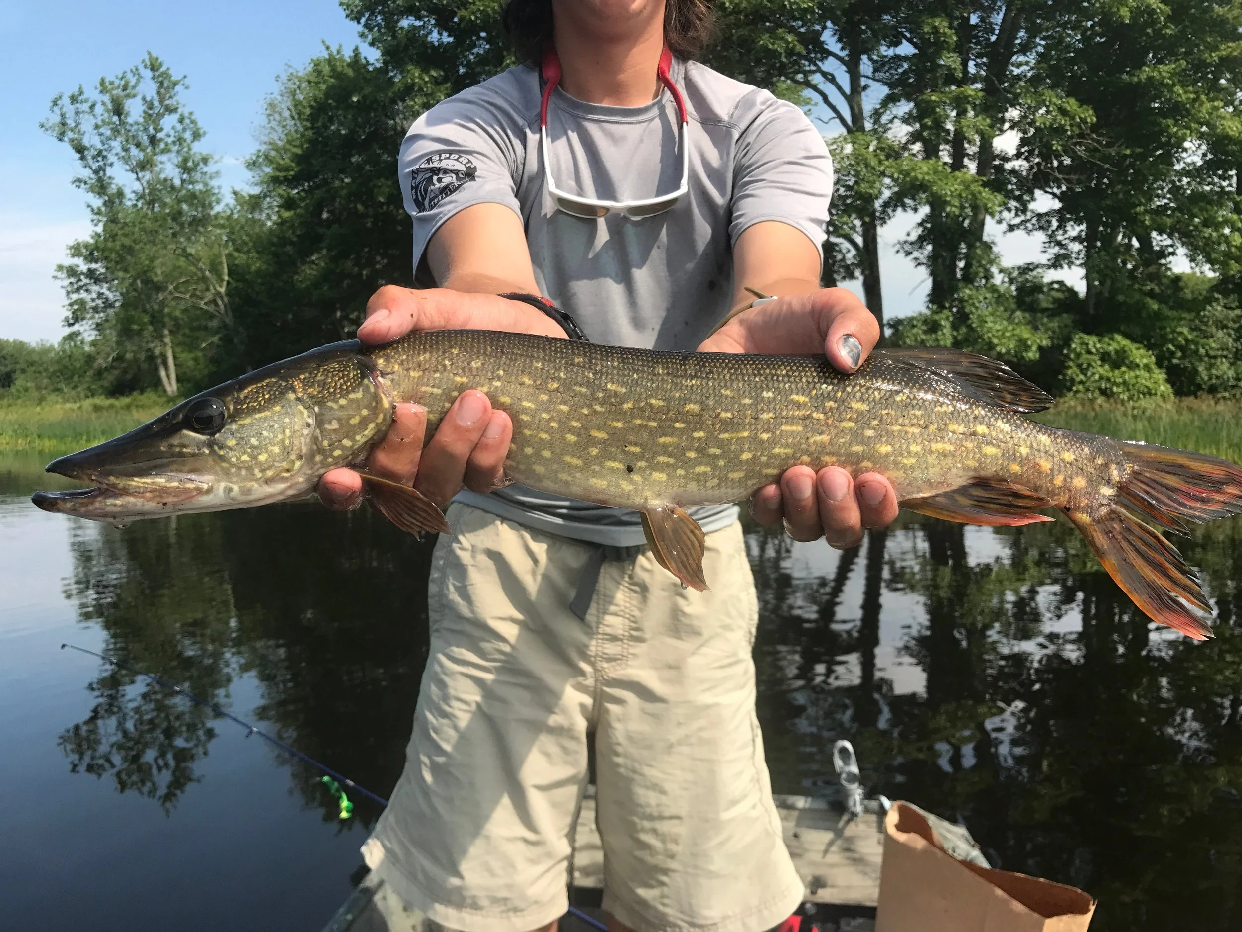 Pike Fishing Maine