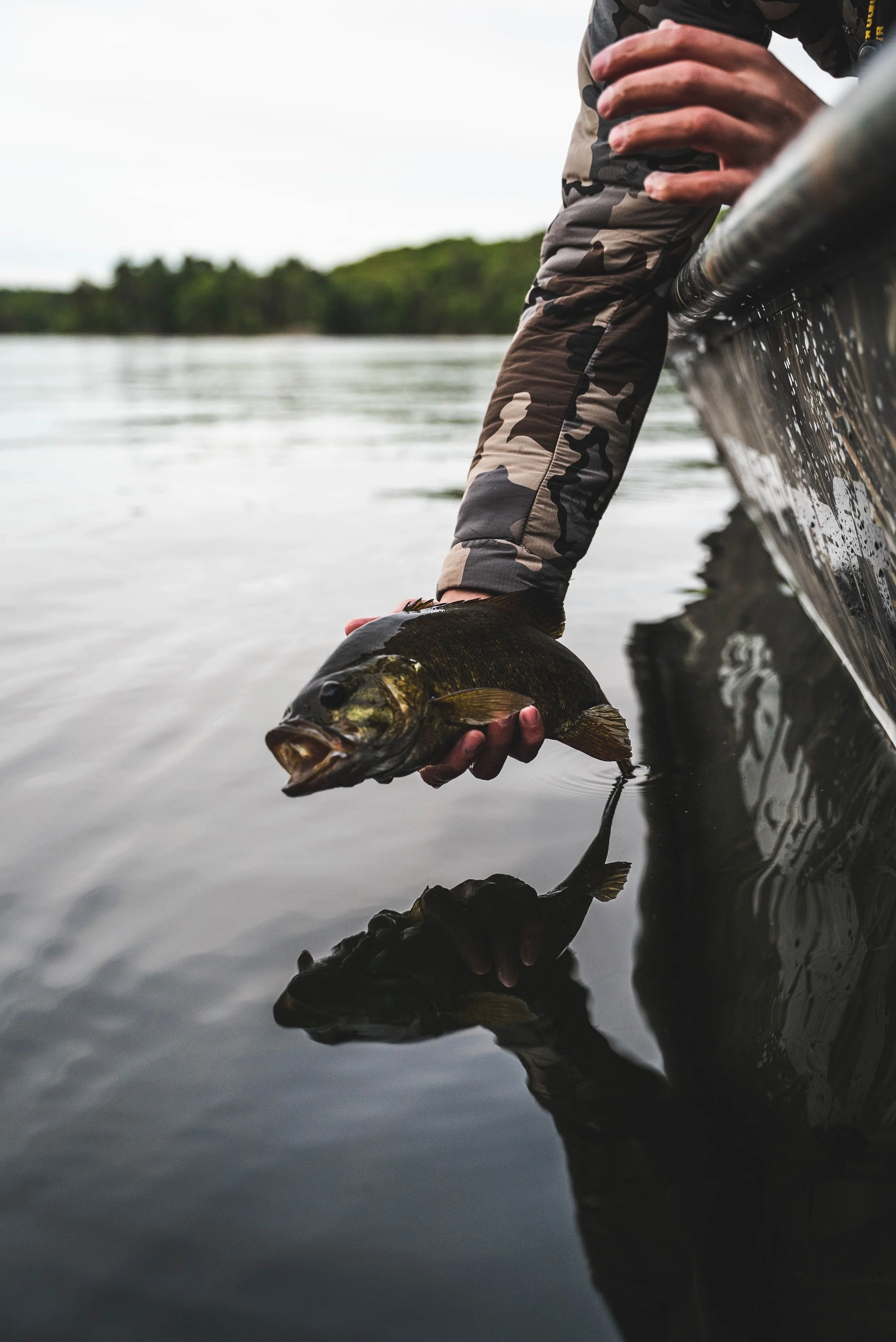 Bass Release maine