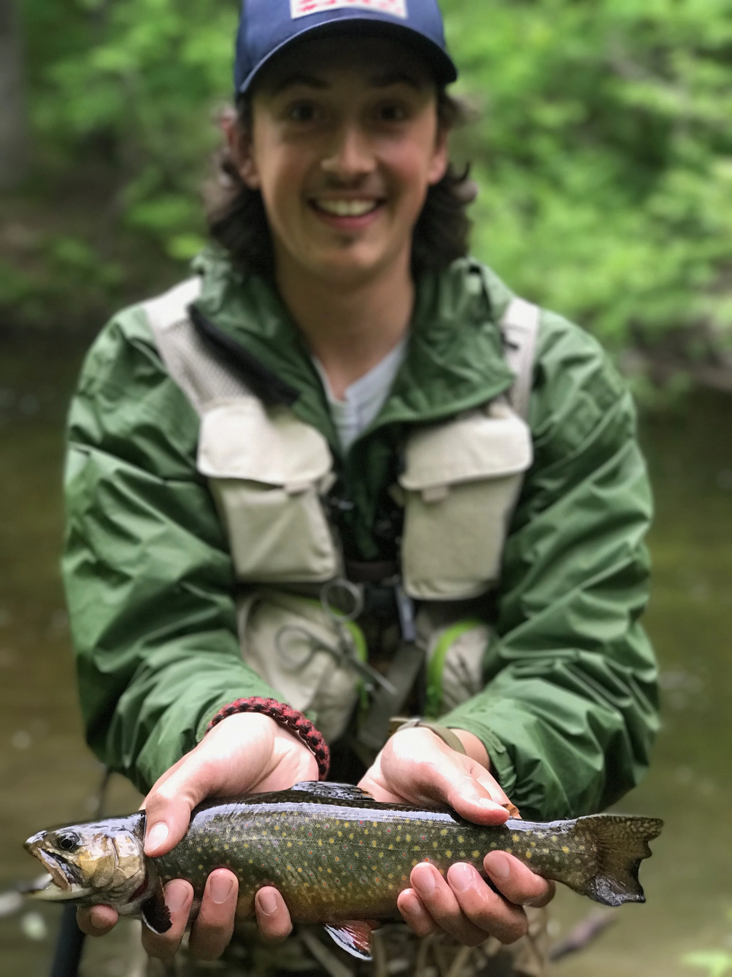 Brook Trout Camden Maine