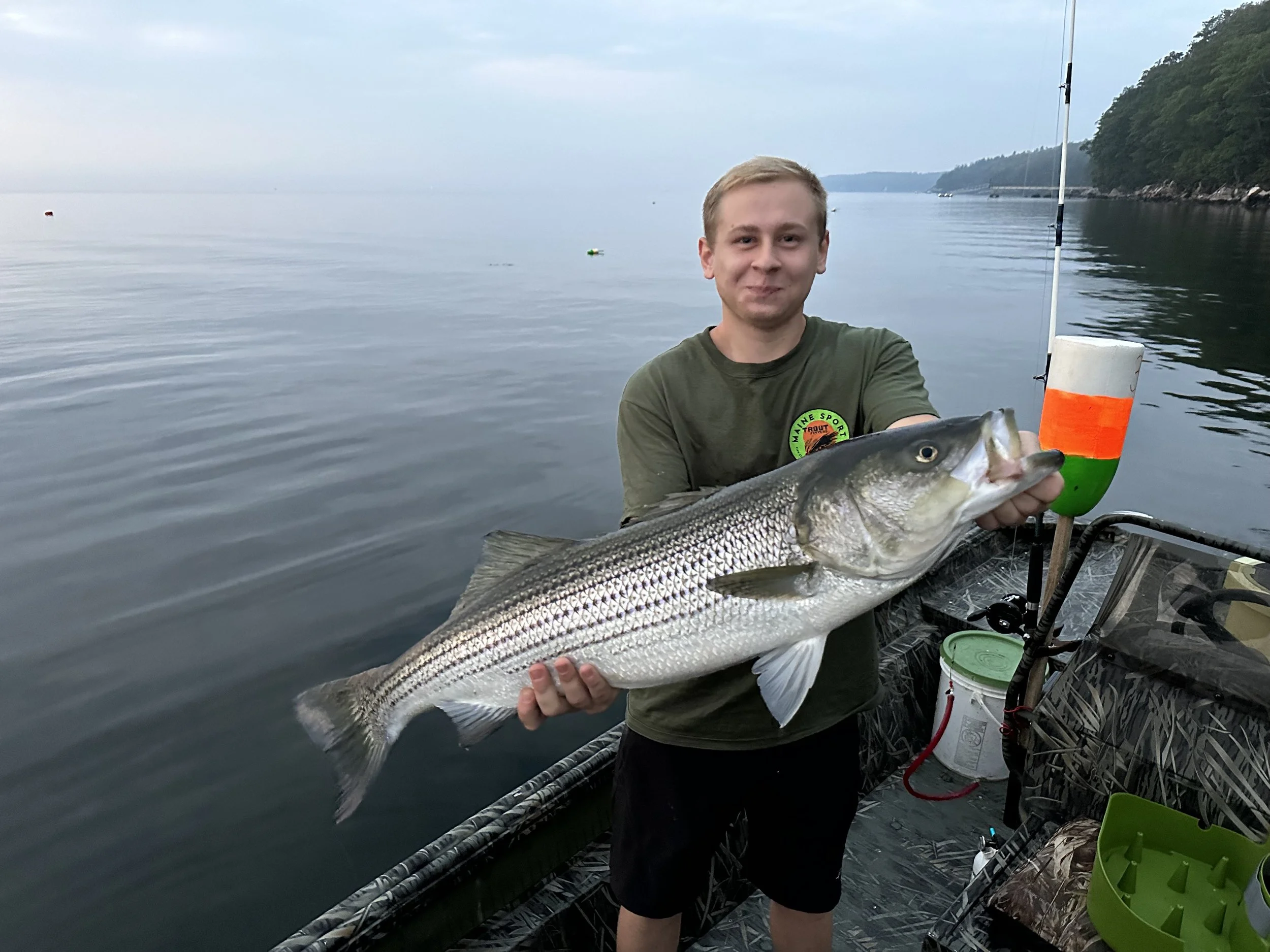 Giant First Striper Rockport Maine