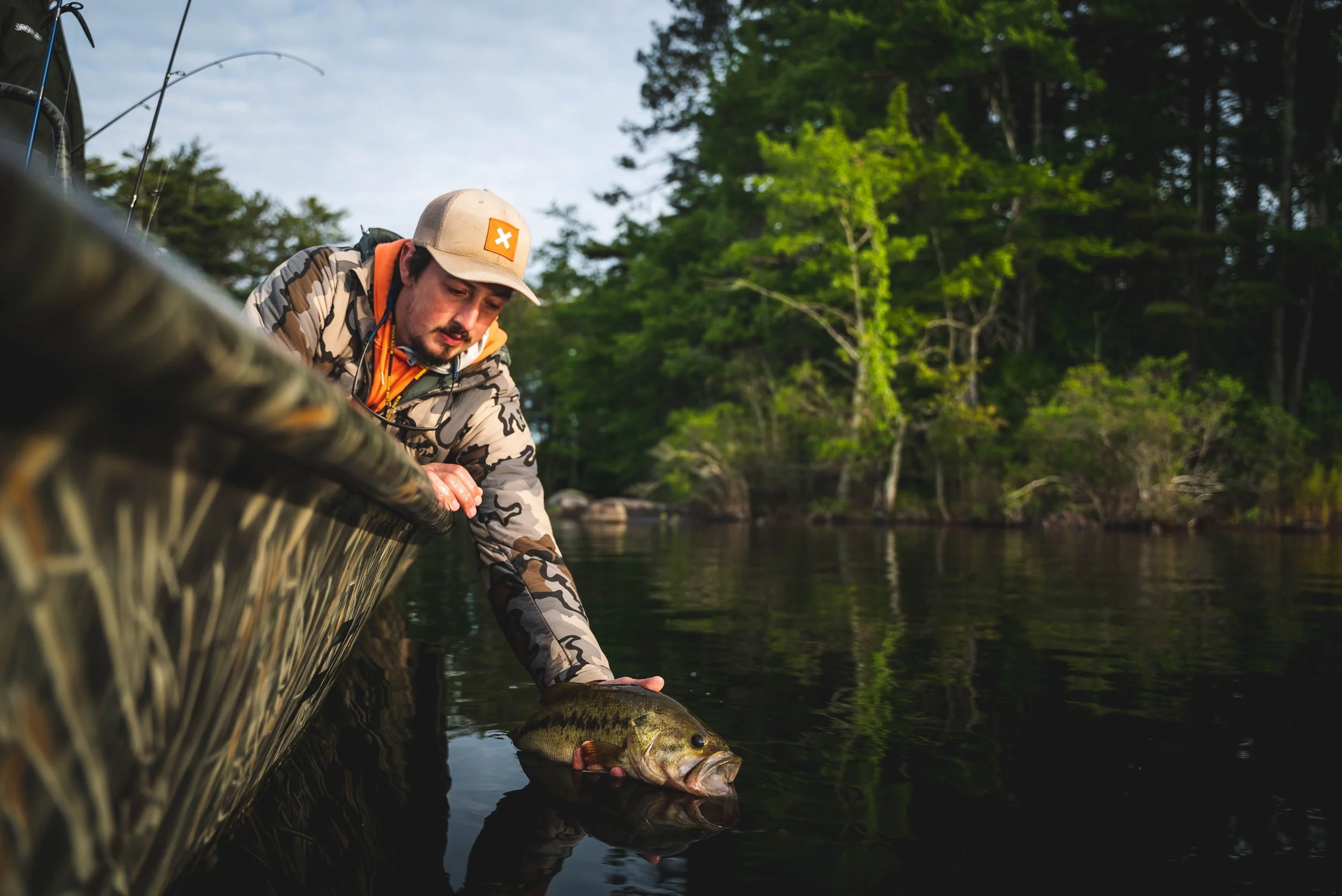 Largemouth bass release camden maine