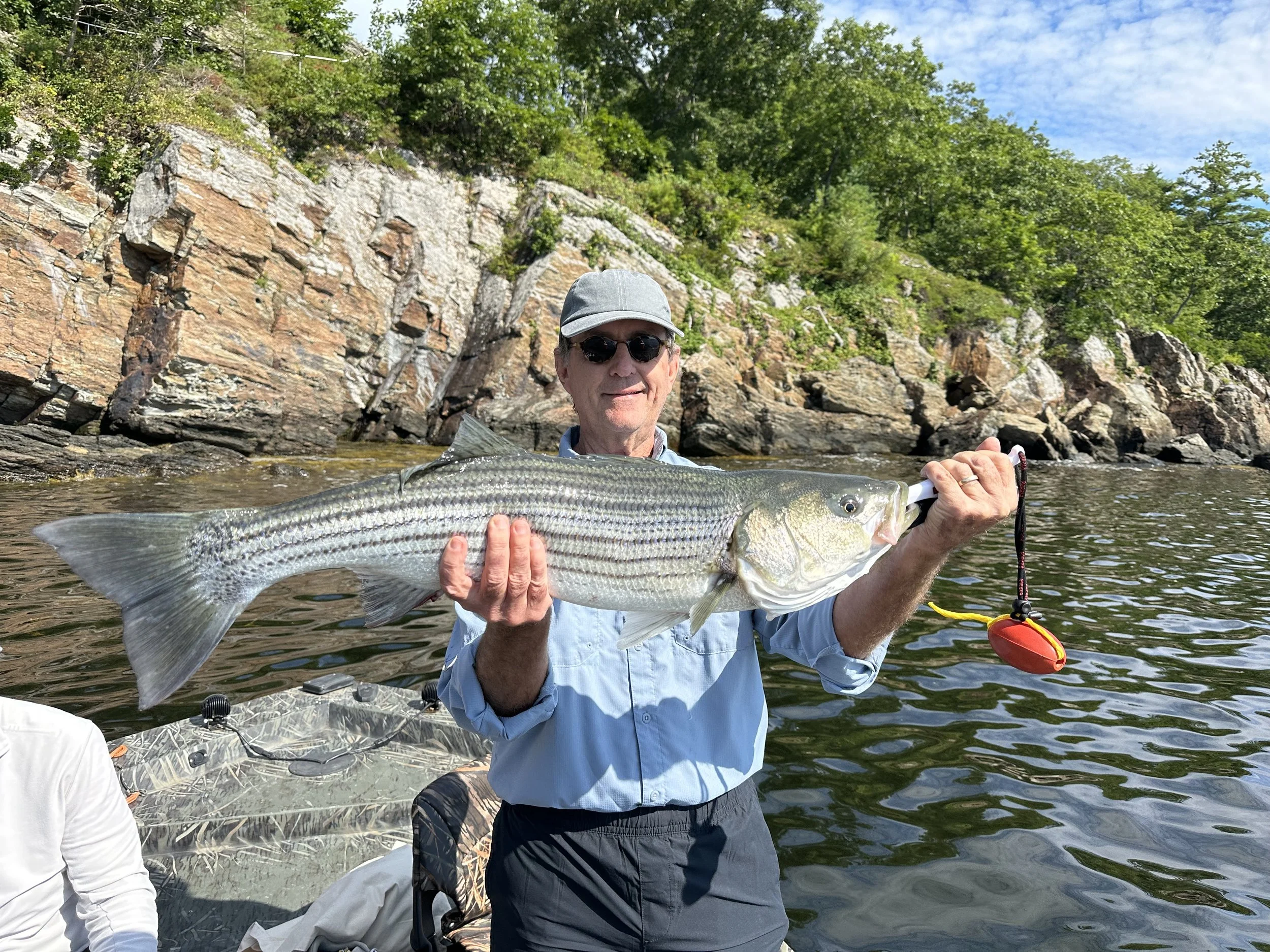 Striped Bass Rockport Maine