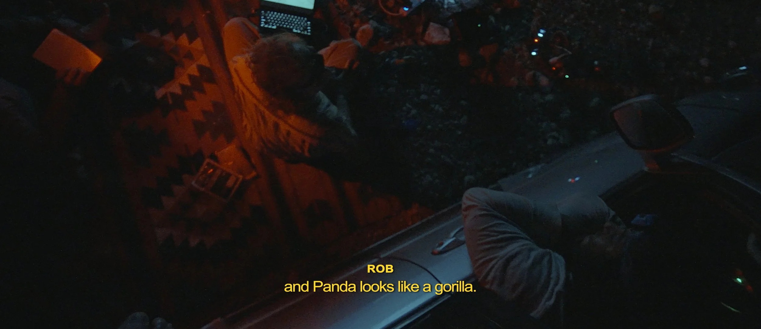 and panda looks like a gorilla.jpg