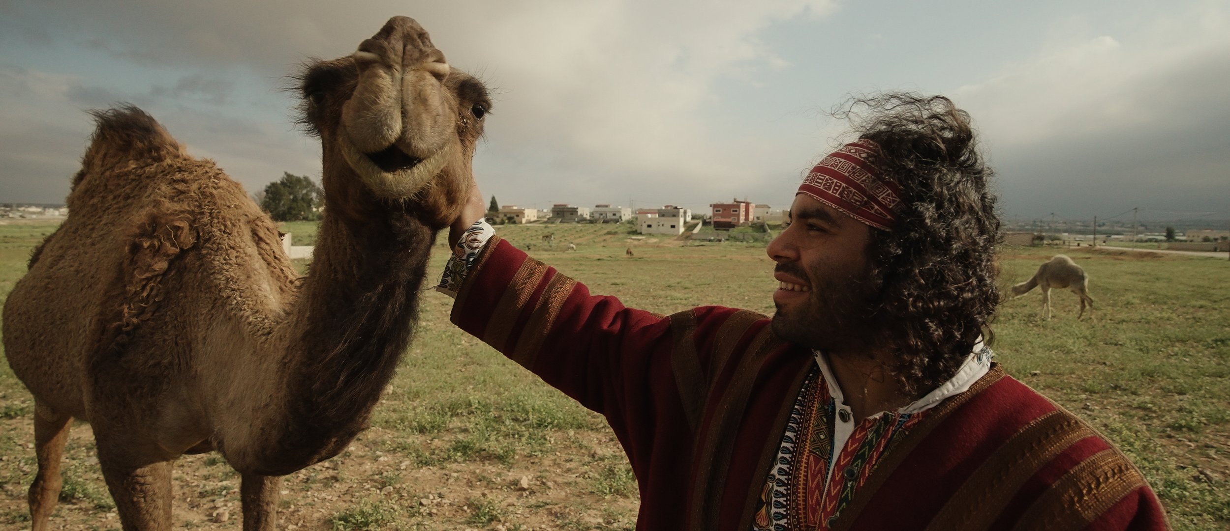 panda with camel.jpg