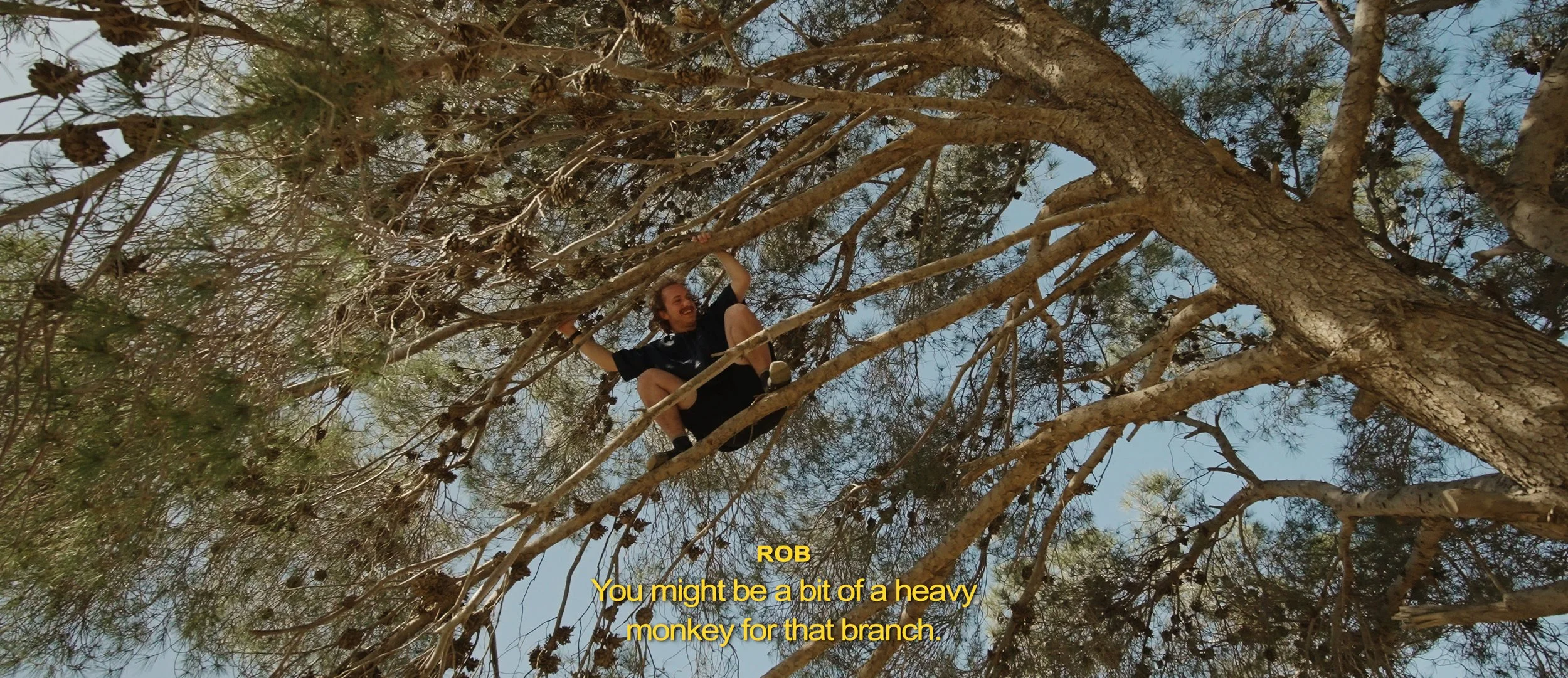 osy in tree heavy monkey rob.jpg