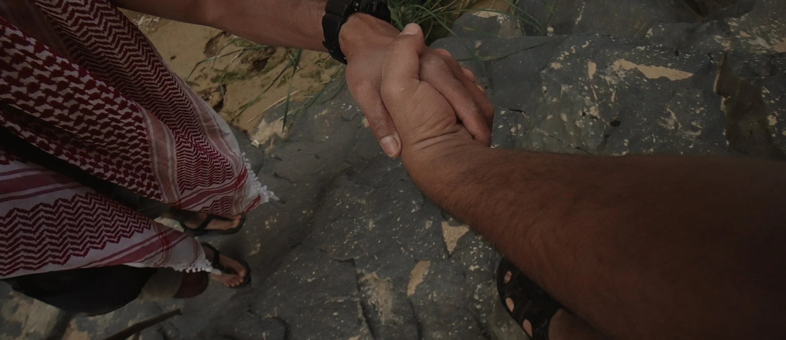 suhayb panda hold my hand.jpg