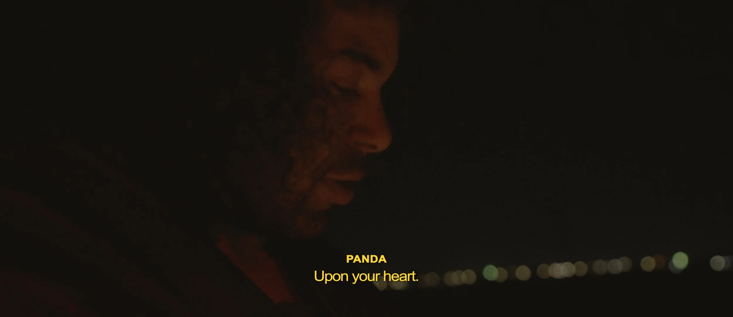 sahha2 - panda - upon your heart .jpg