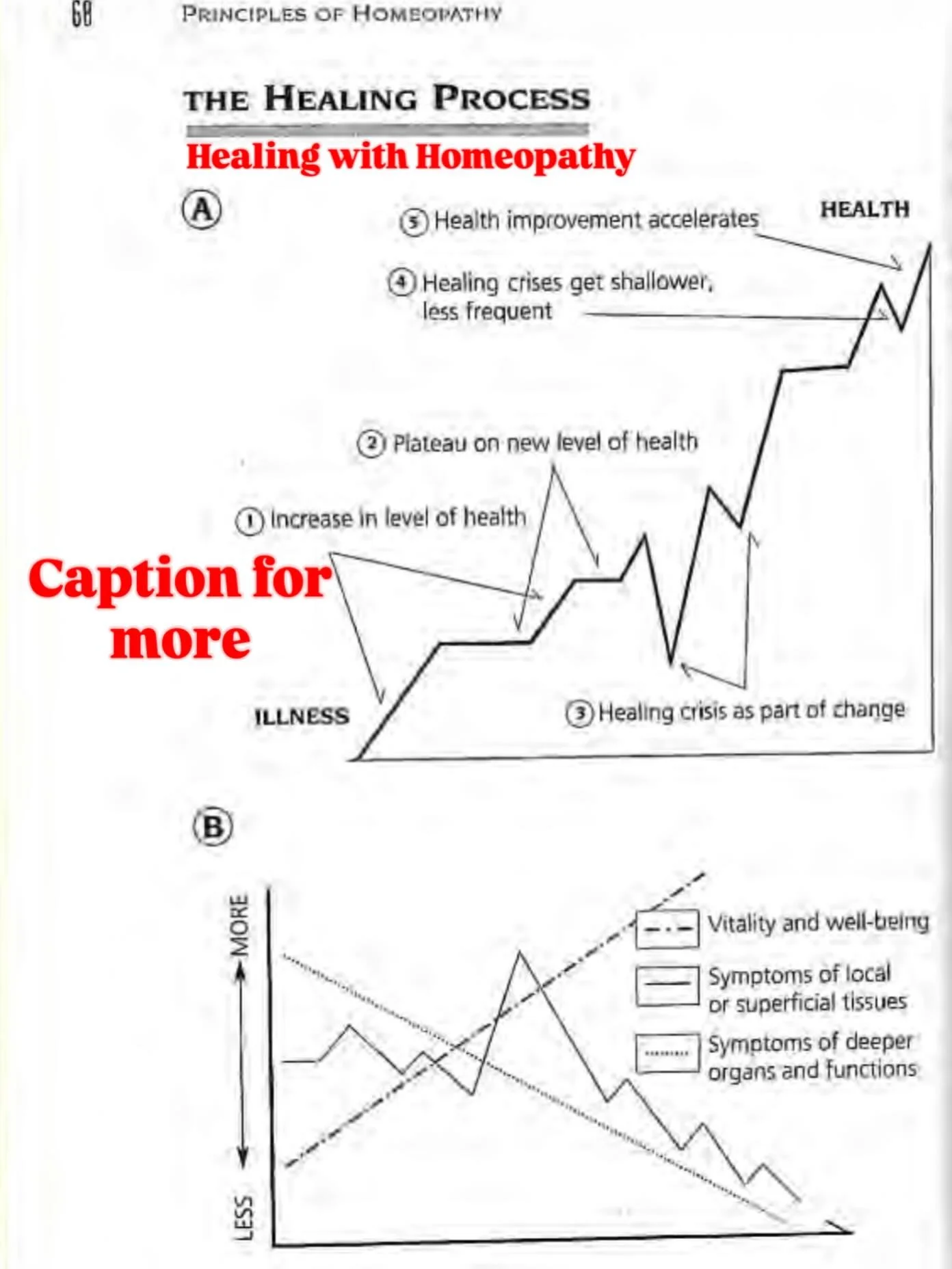 We have become accustomed to a suppressive model of medicine. The results are often quick, but they are usually superficial. This approach has little connection to the body&rsquo;s natural biological needs or its inherent intelligence. As a result, m