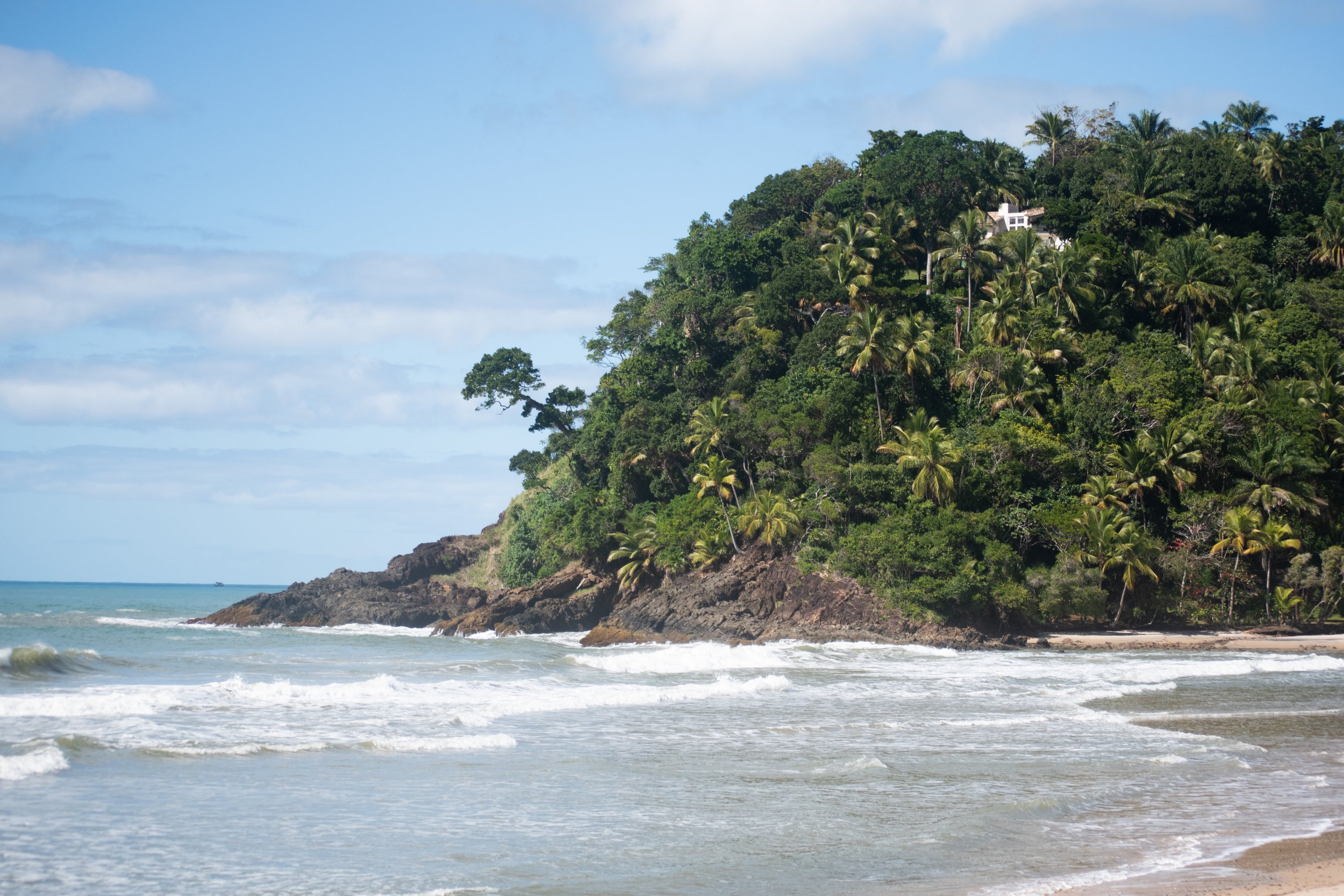 A scenic view of a tropical beach with waves crashing on the shore, a rocky hillside densely covered with palm trees and lush greenery, and a partly cloudy sky.