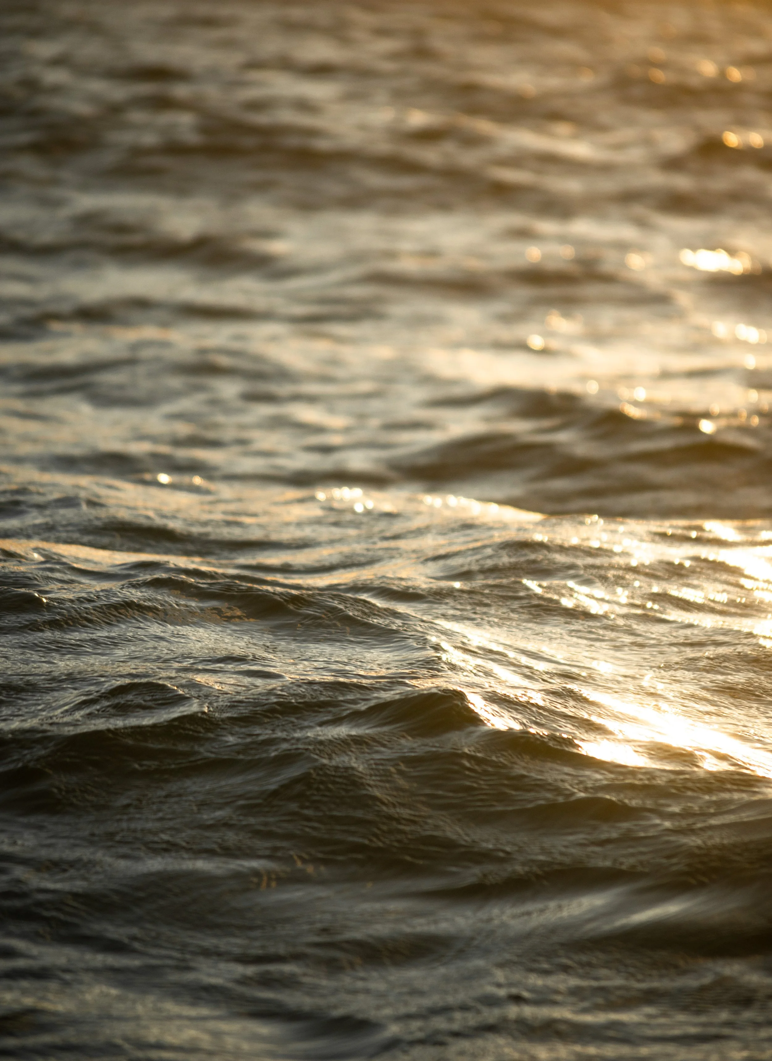 Close-up of a calm body of water with gentle ripples and sunlight reflecting off the surface, creating a golden glow.